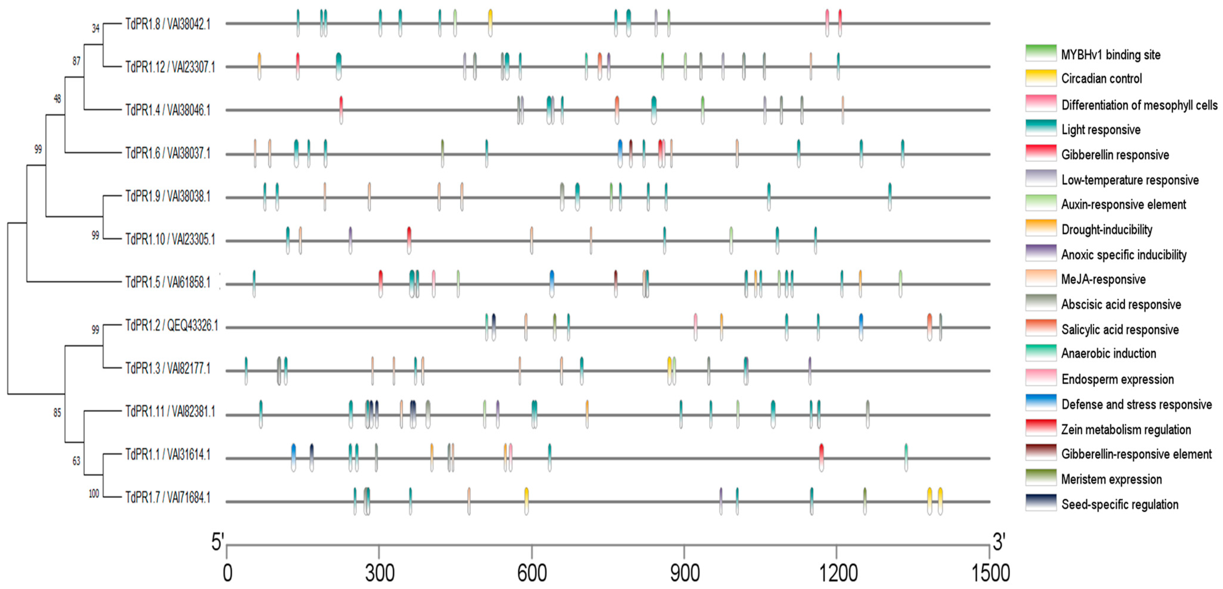 Plants 12 01998 g010 Plants 12 01998 g010