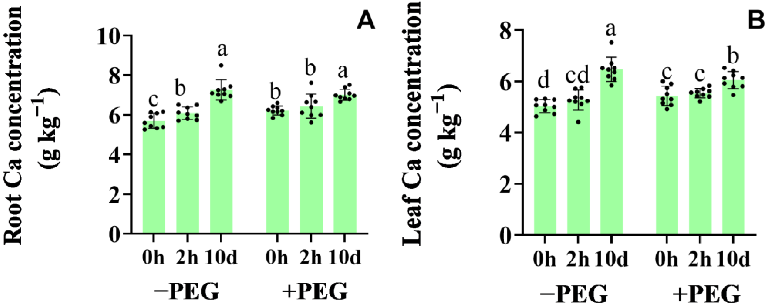 Plants 12 01999 g001 Plants 12 01999 g001