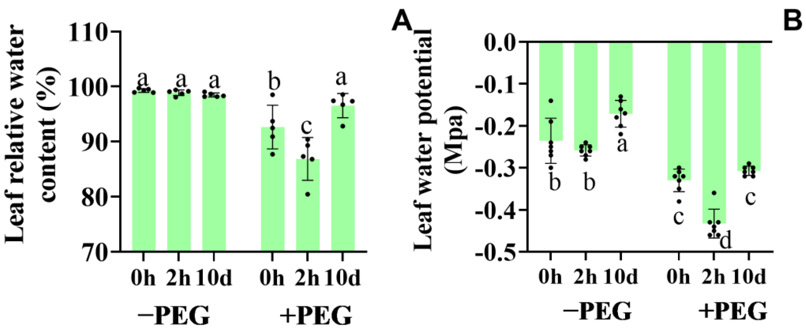 Plants 12 01999 g003 Plants 12 01999 g003