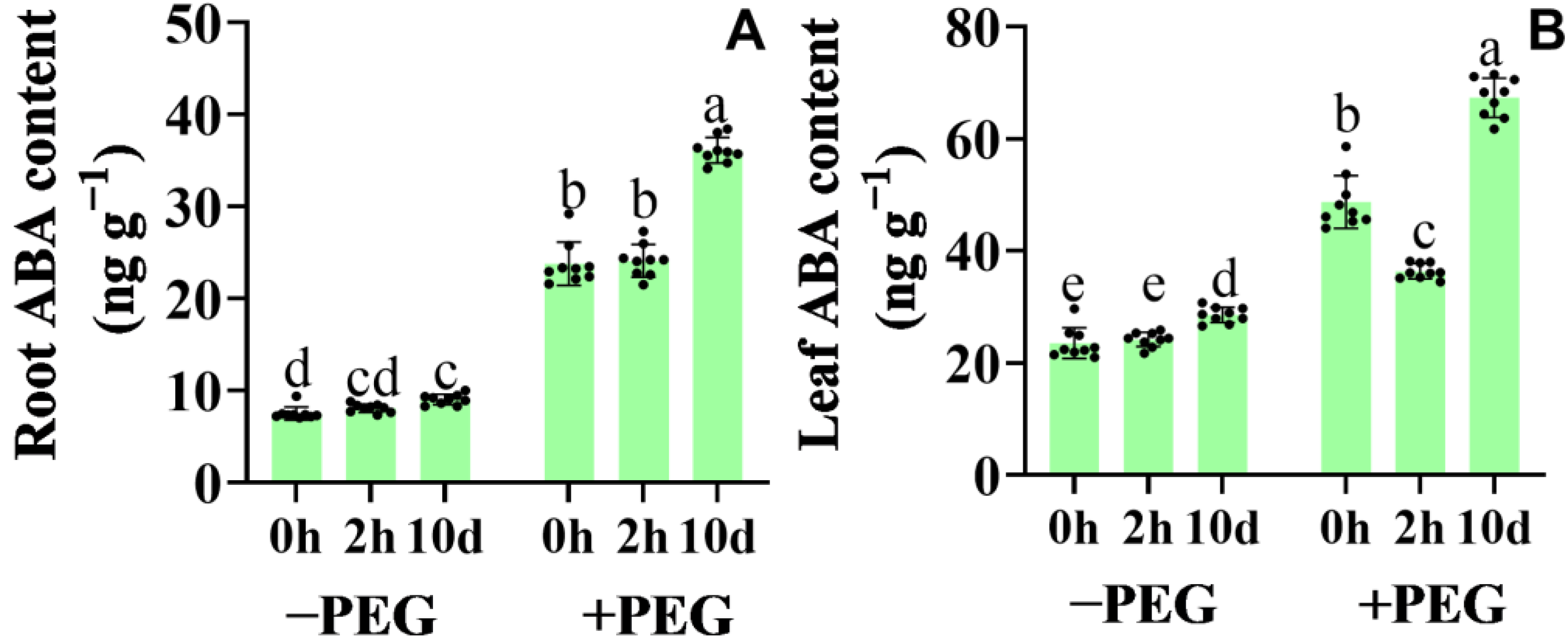 Plants 12 01999 g005 Plants 12 01999 g005