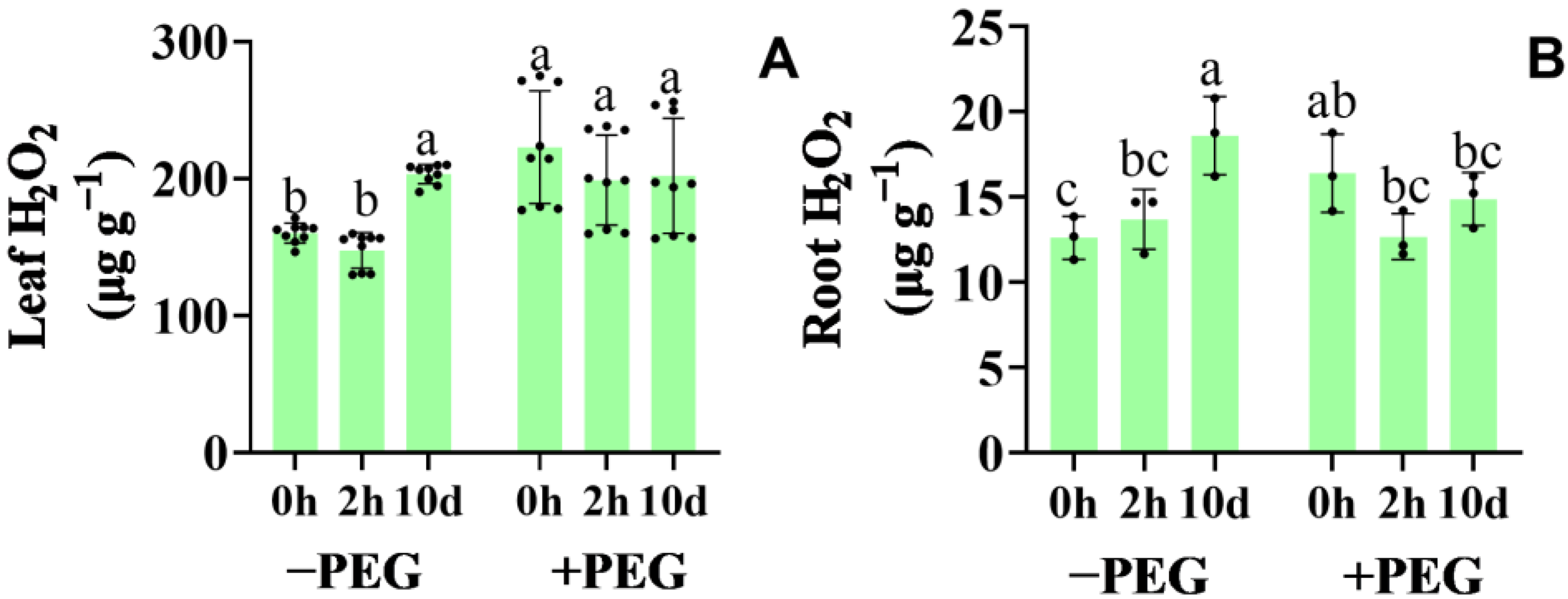 Plants 12 01999 g006 Plants 12 01999 g006