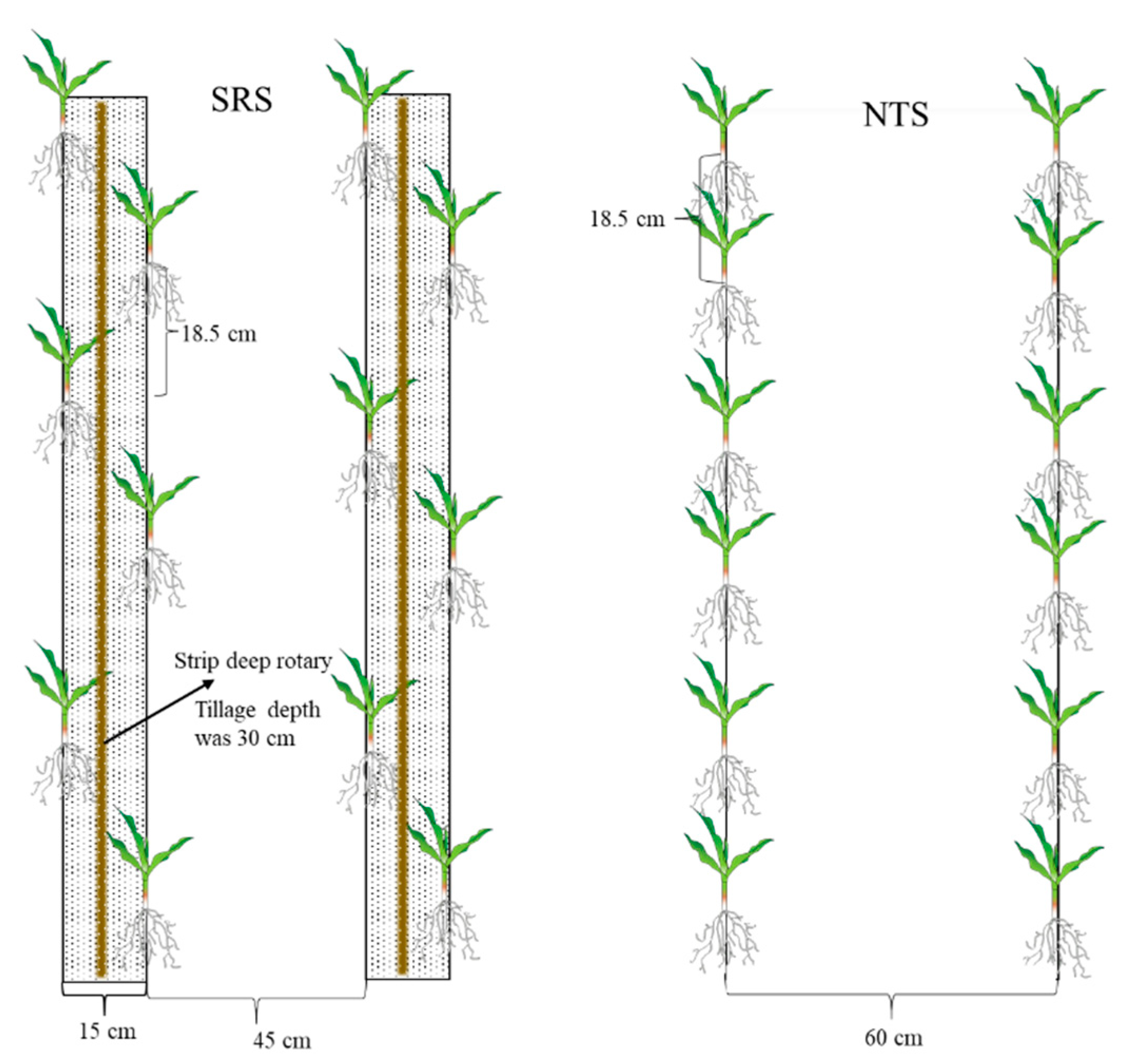 Plants 12 02000 g009 Plants 12 02000 g009