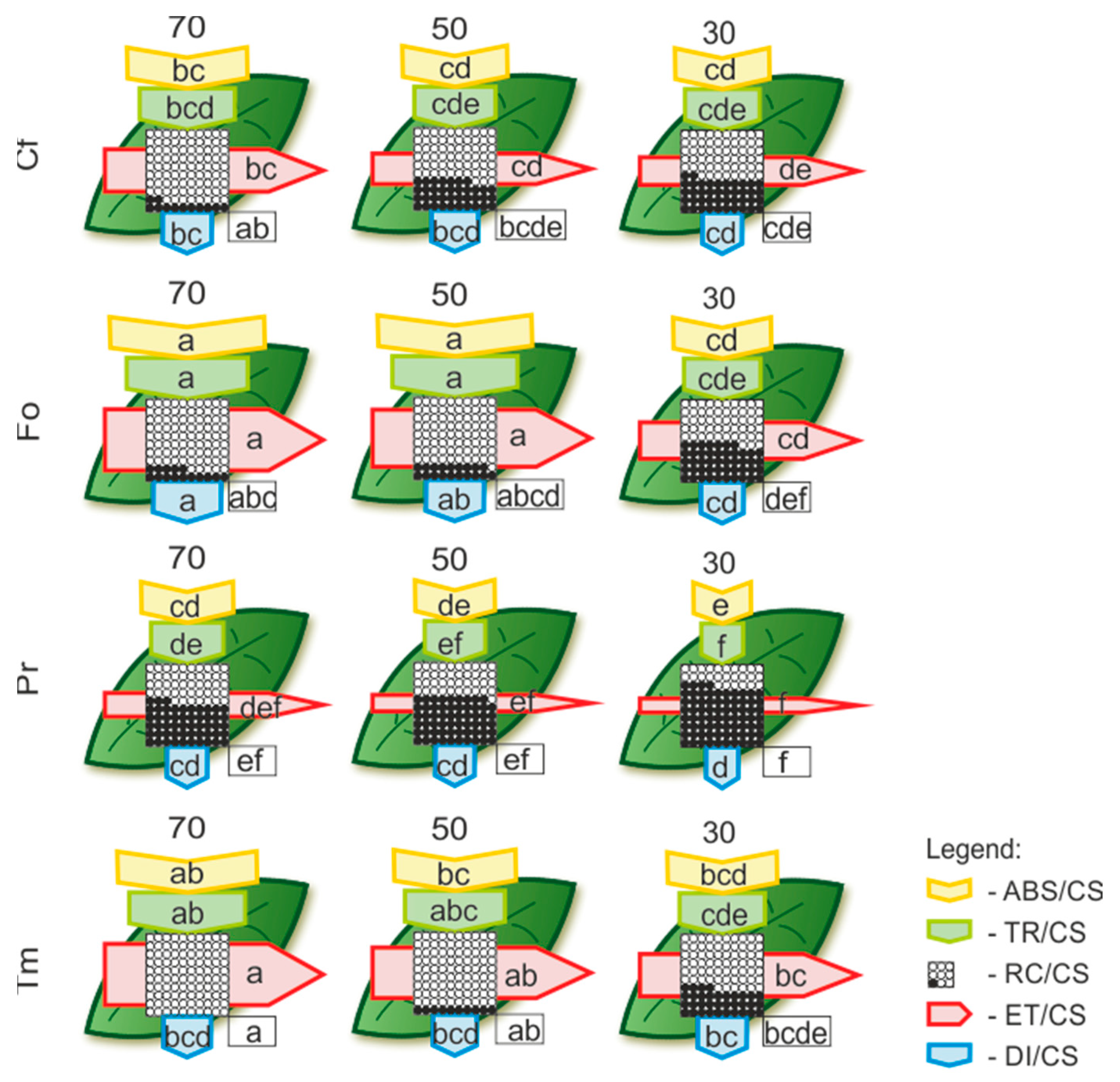 Plants 12 02003 g002