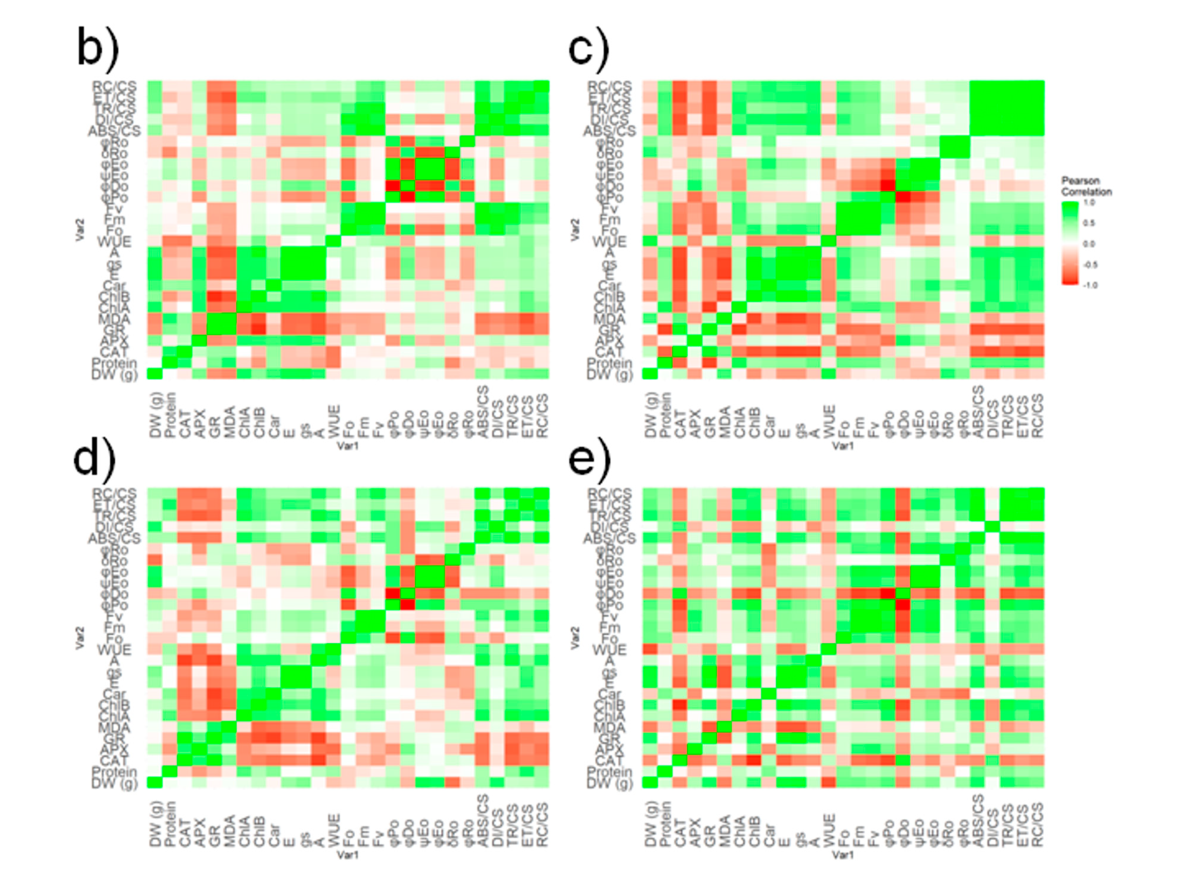Plants 12 02003 g004b