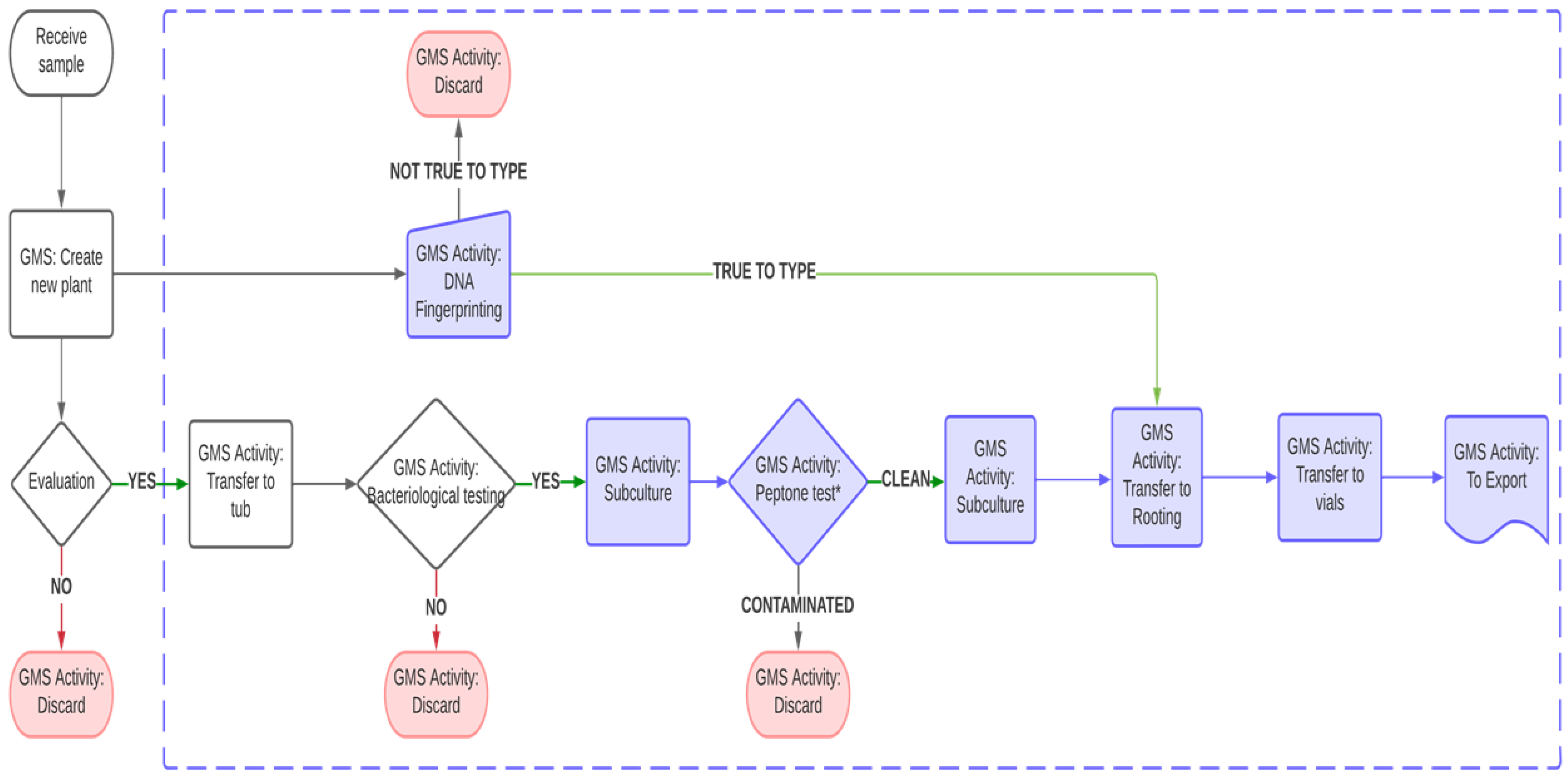 Plants 12 02009 g004 Plants 12 02009 g004