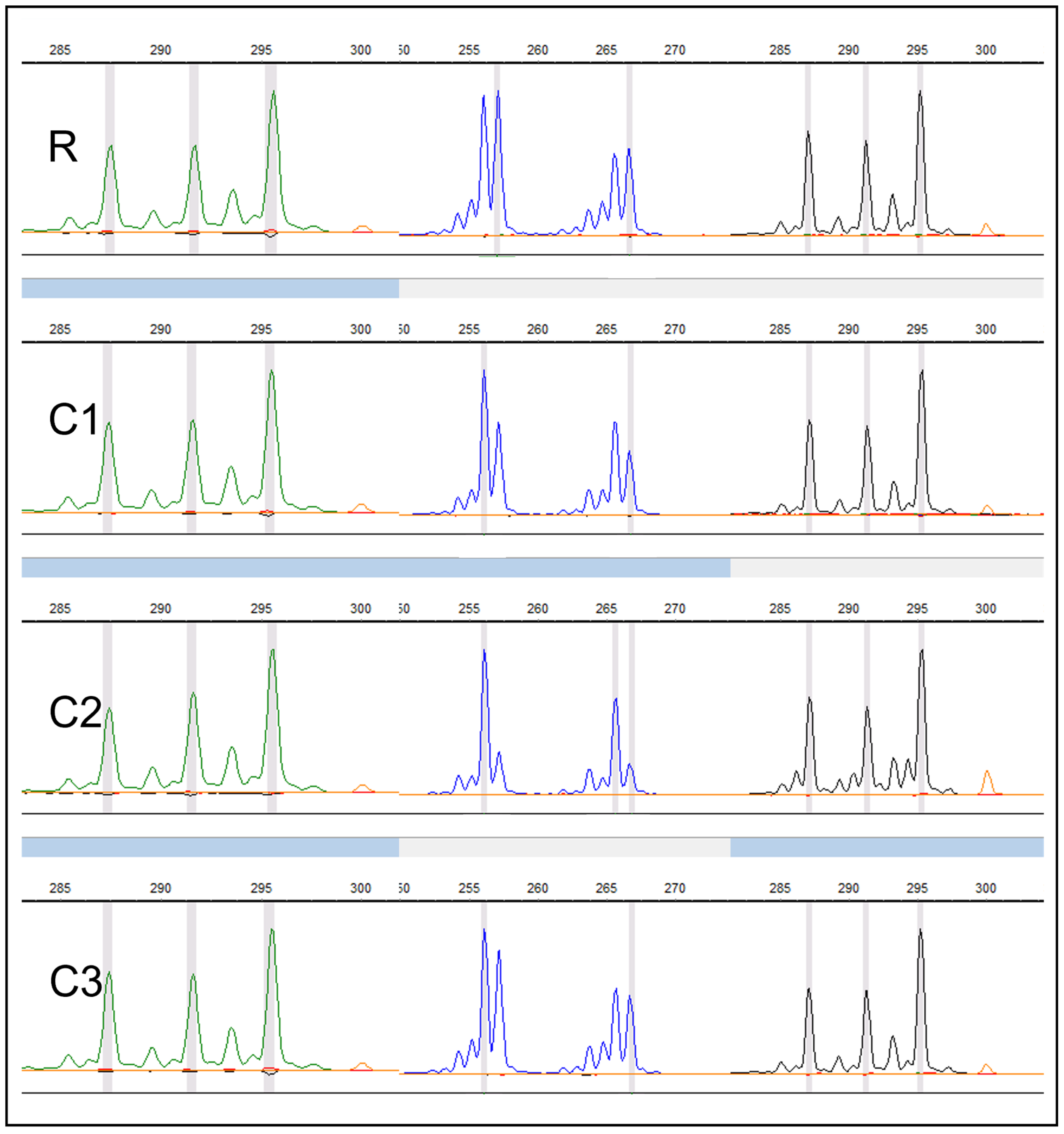 Plants 12 02009 g006 Plants 12 02009 g006