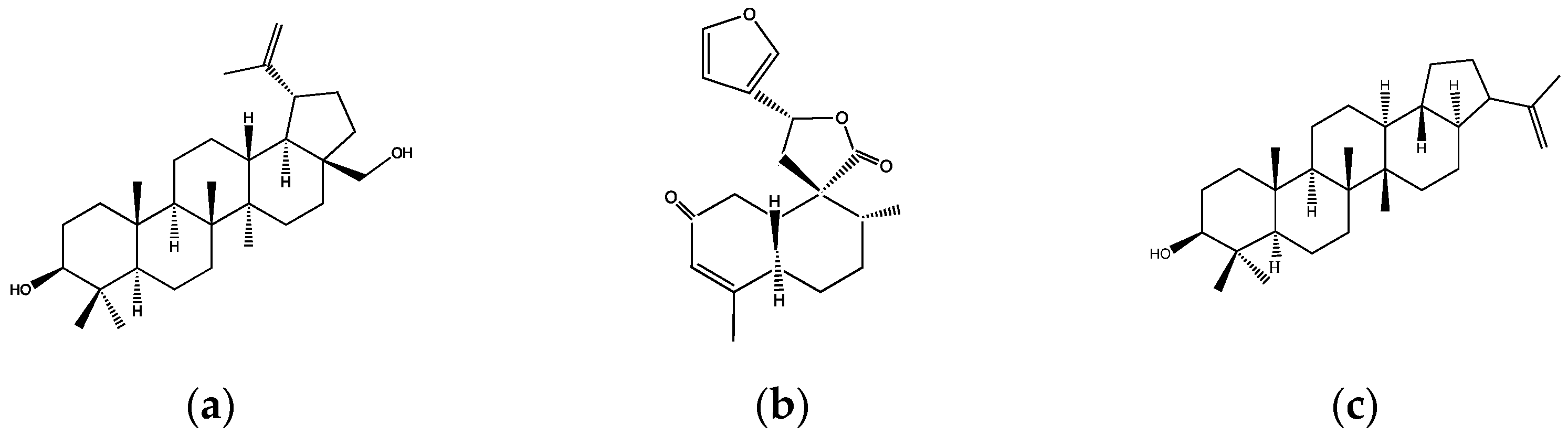 Plants 12 02014 g001a Plants 12 02014 g001a