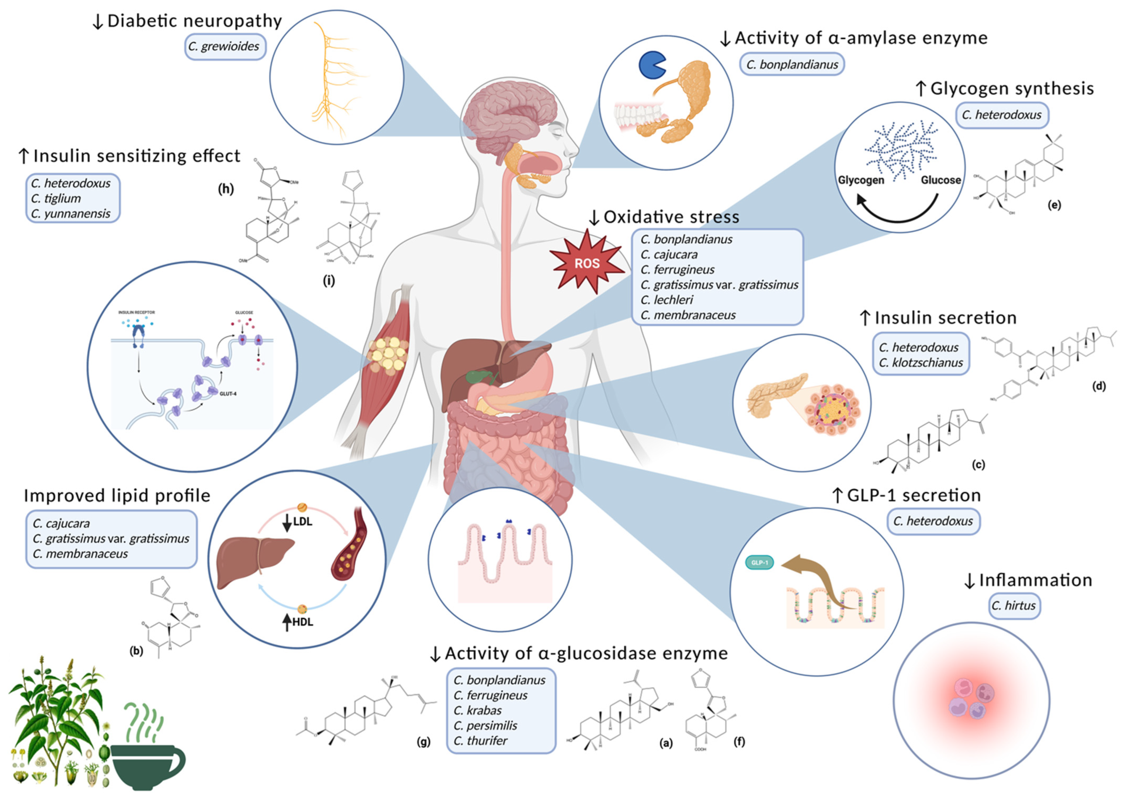 Plants 12 02014 g002 Plants 12 02014 g002