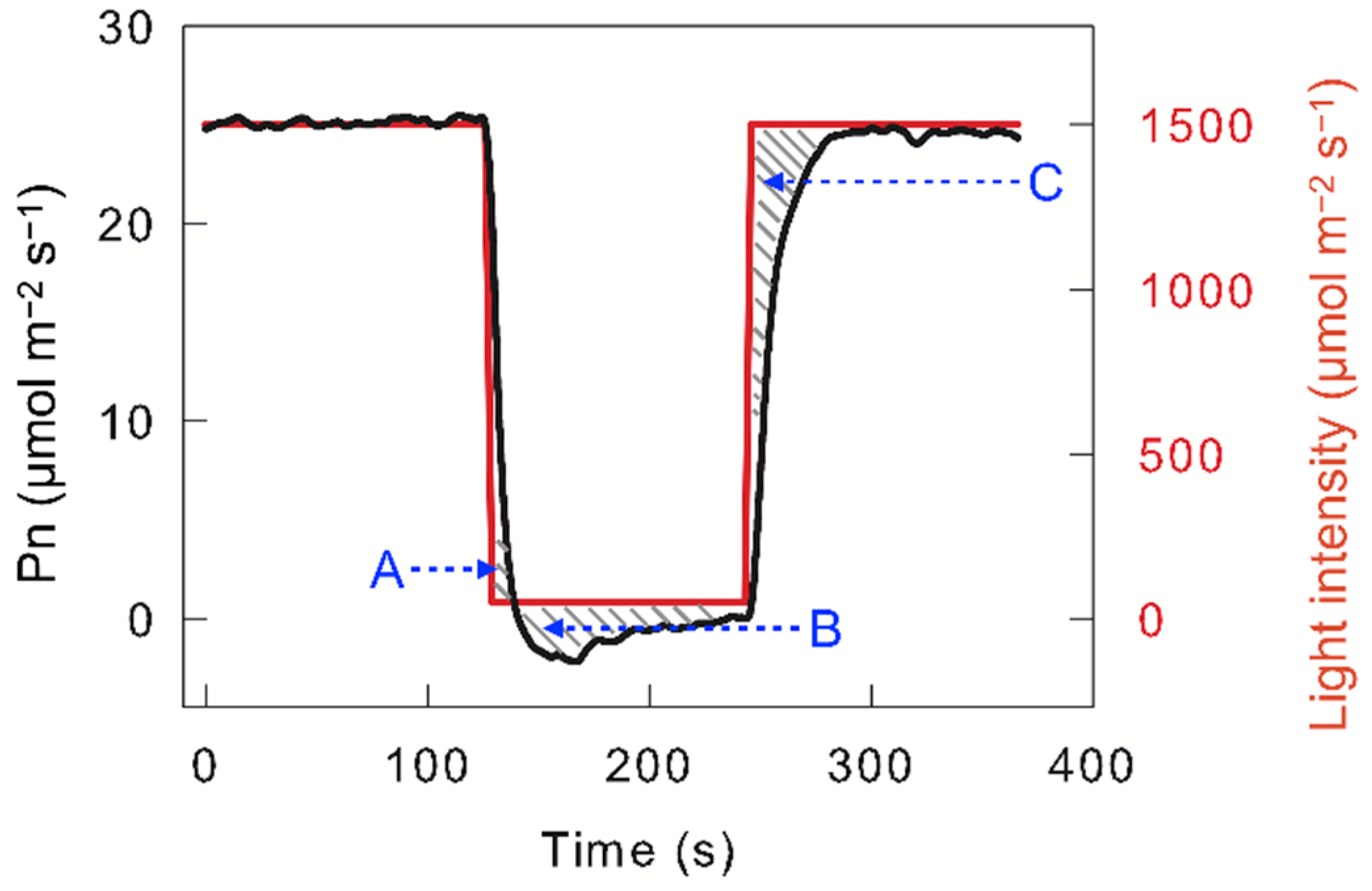 Plants 12 02015 g001 Plants 12 02015 g001