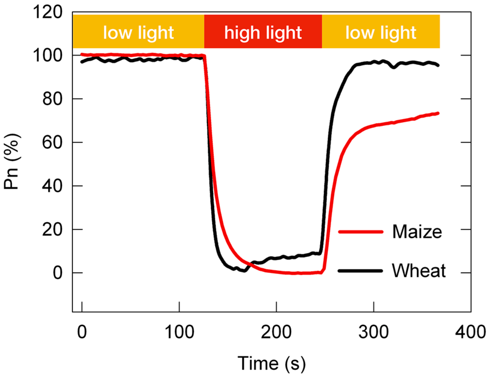 Plants 12 02015 g002 Plants 12 02015 g002