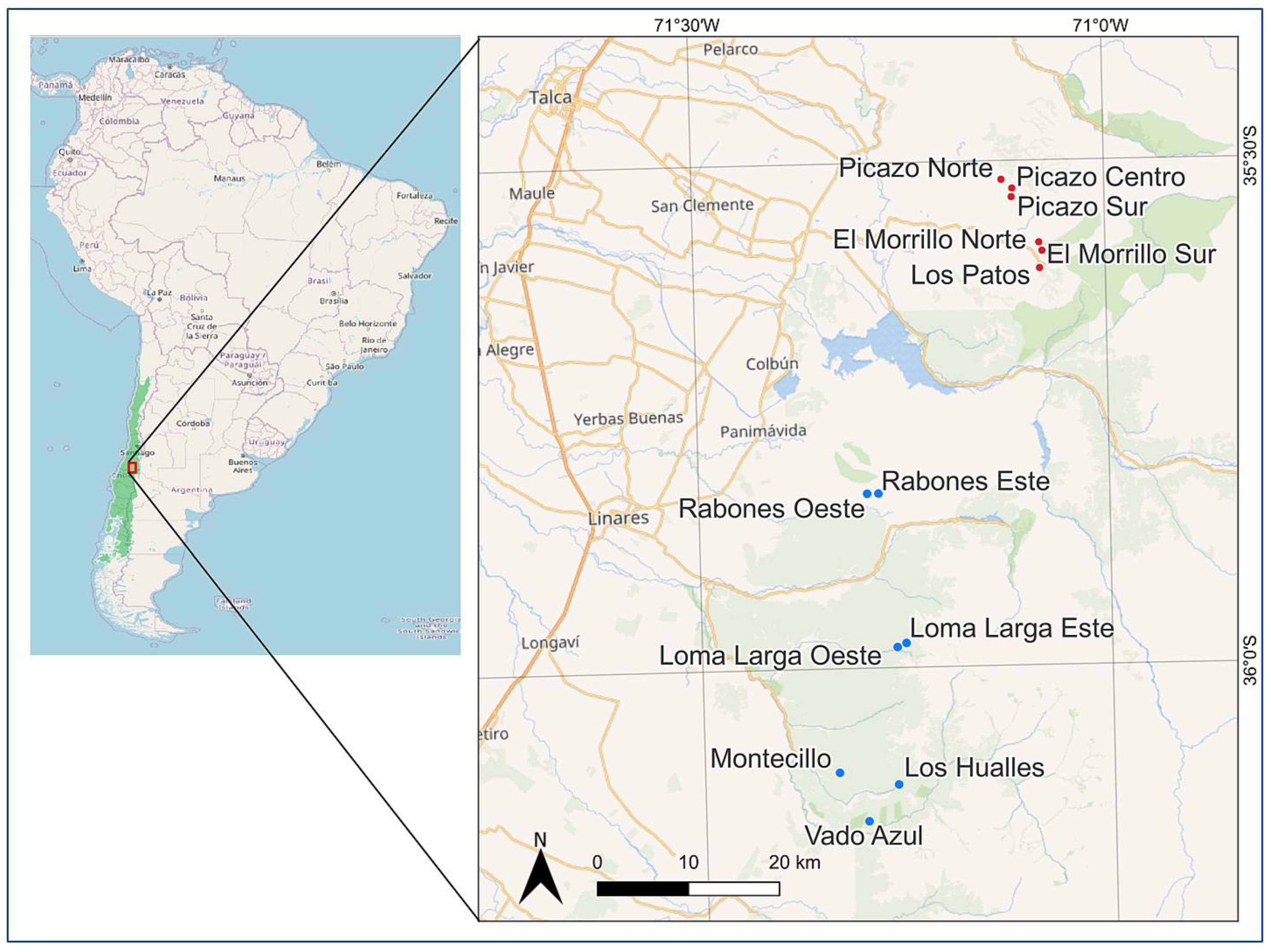 Plants 12 02017 g001 Plants 12 02017 g001