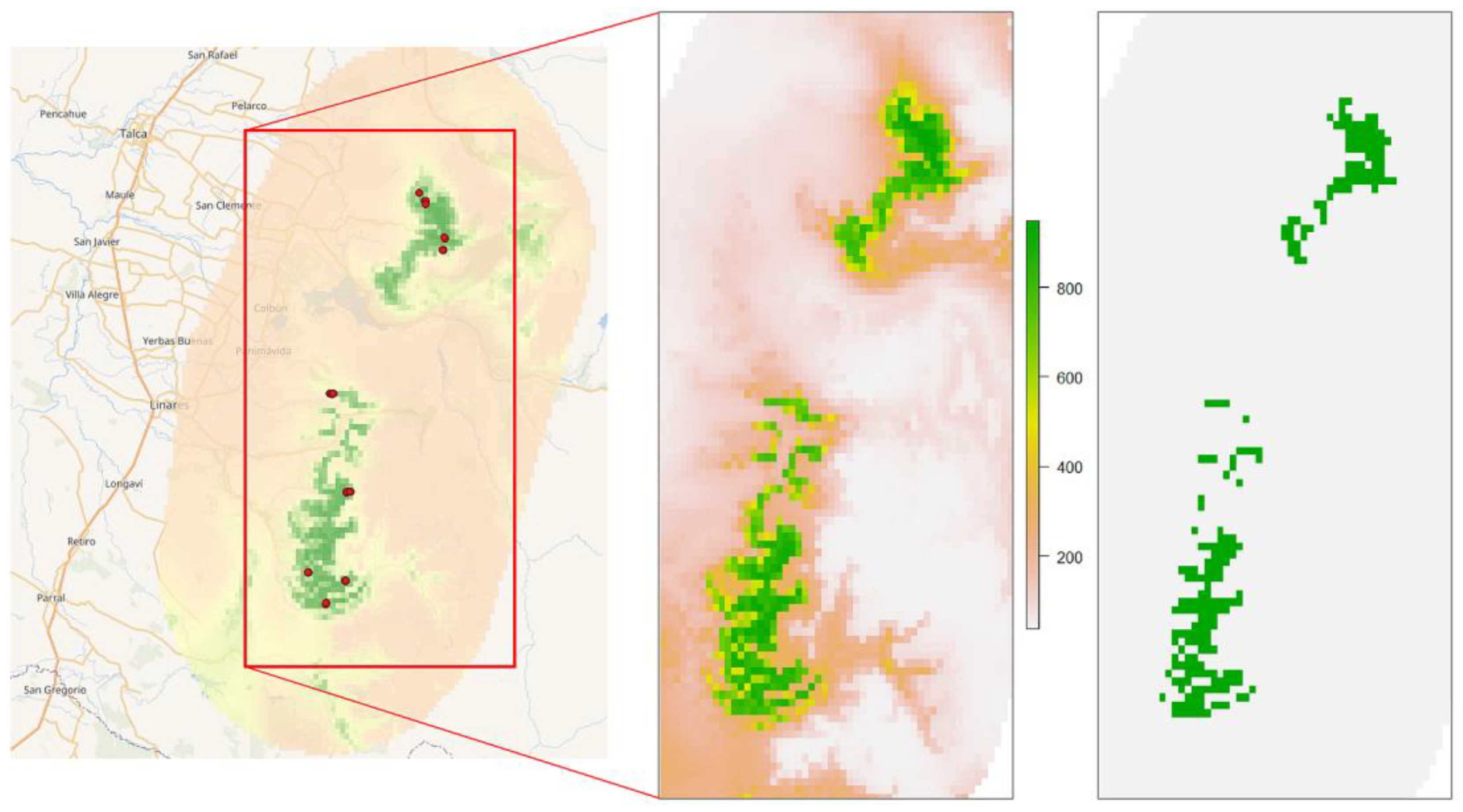 Plants 12 02017 g004 Plants 12 02017 g004