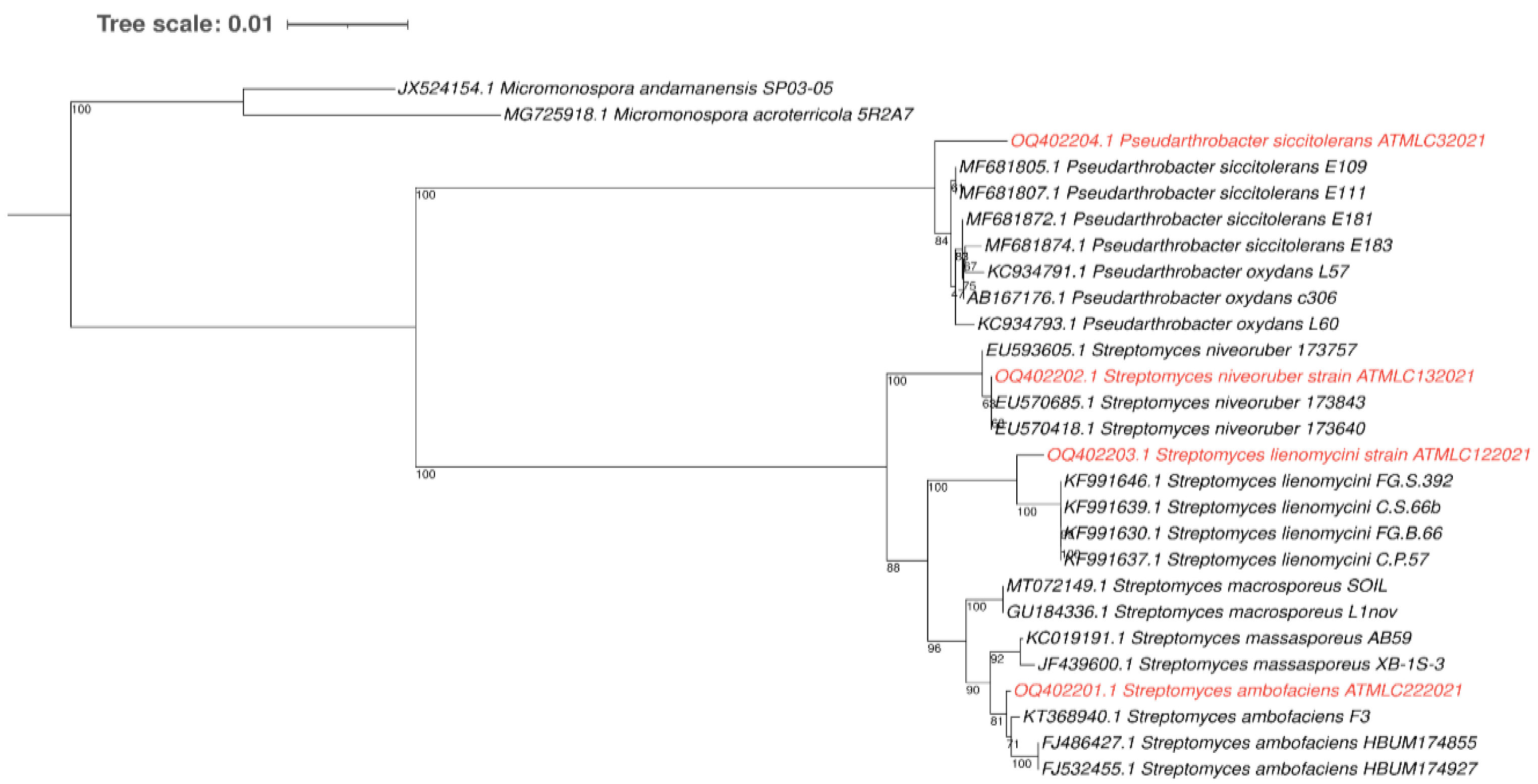 Plants 12 02018 g001 Plants 12 02018 g001