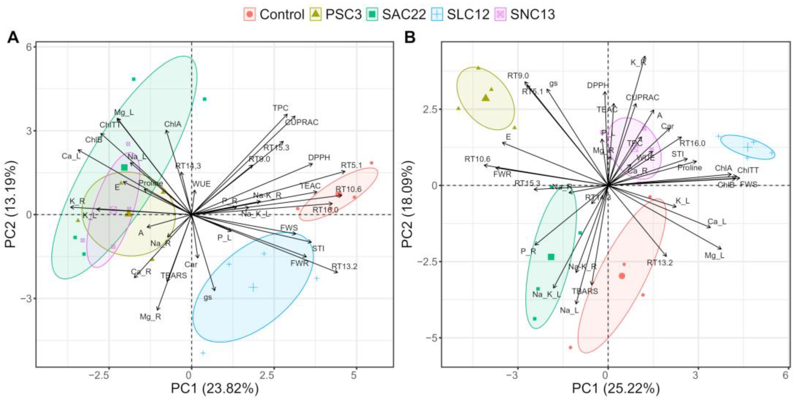 Plants 12 02018 g007 Plants 12 02018 g007