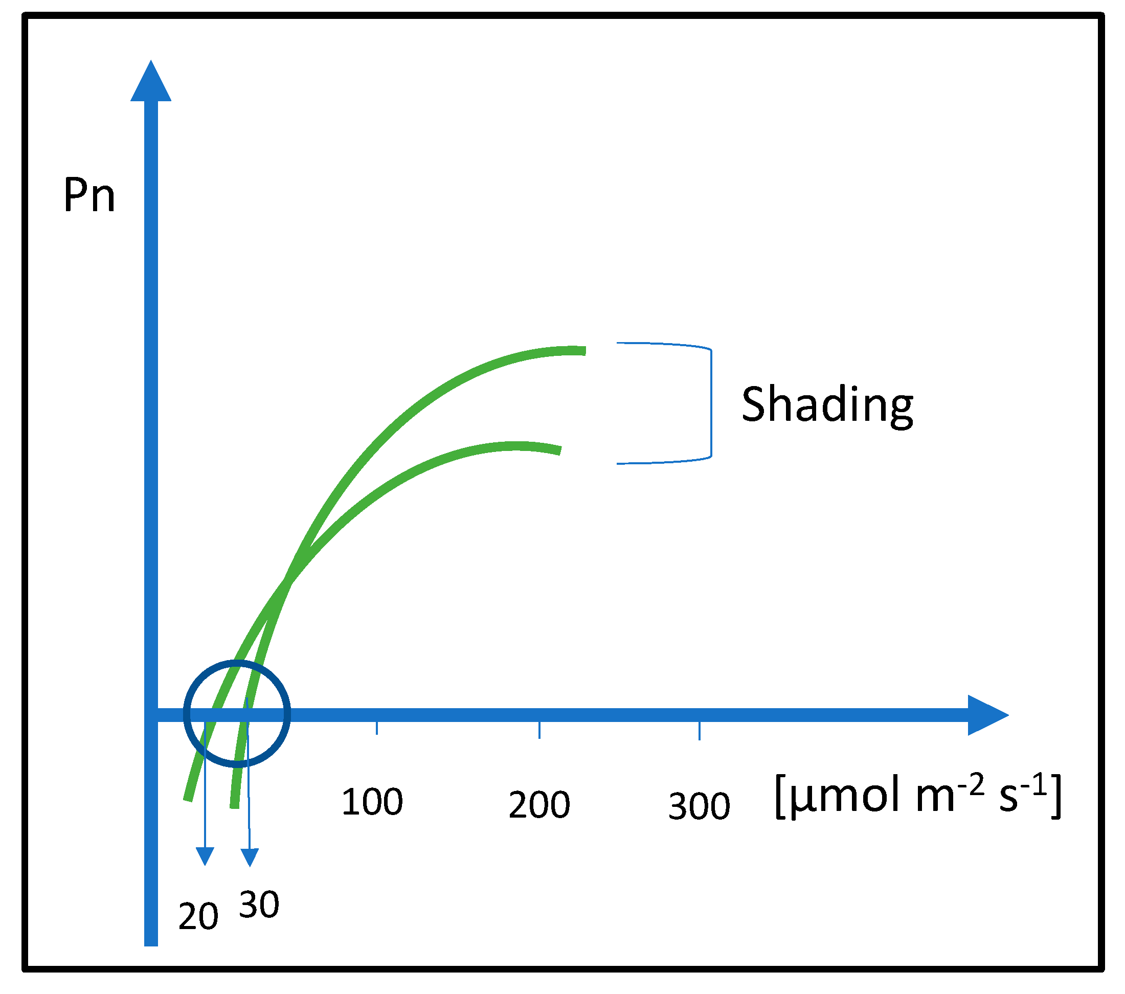 Plants 12 02022 g001 Plants 12 02022 g001