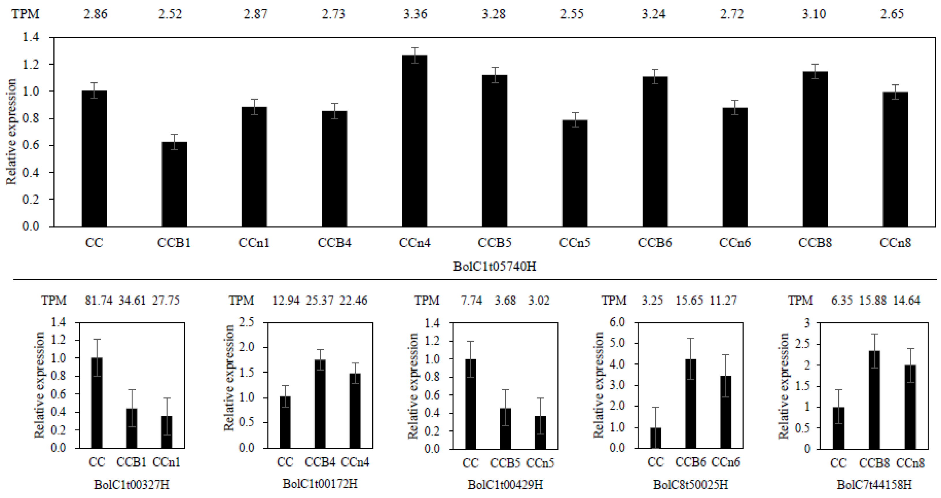 Plants 12 02029 g005 Plants 12 02029 g005