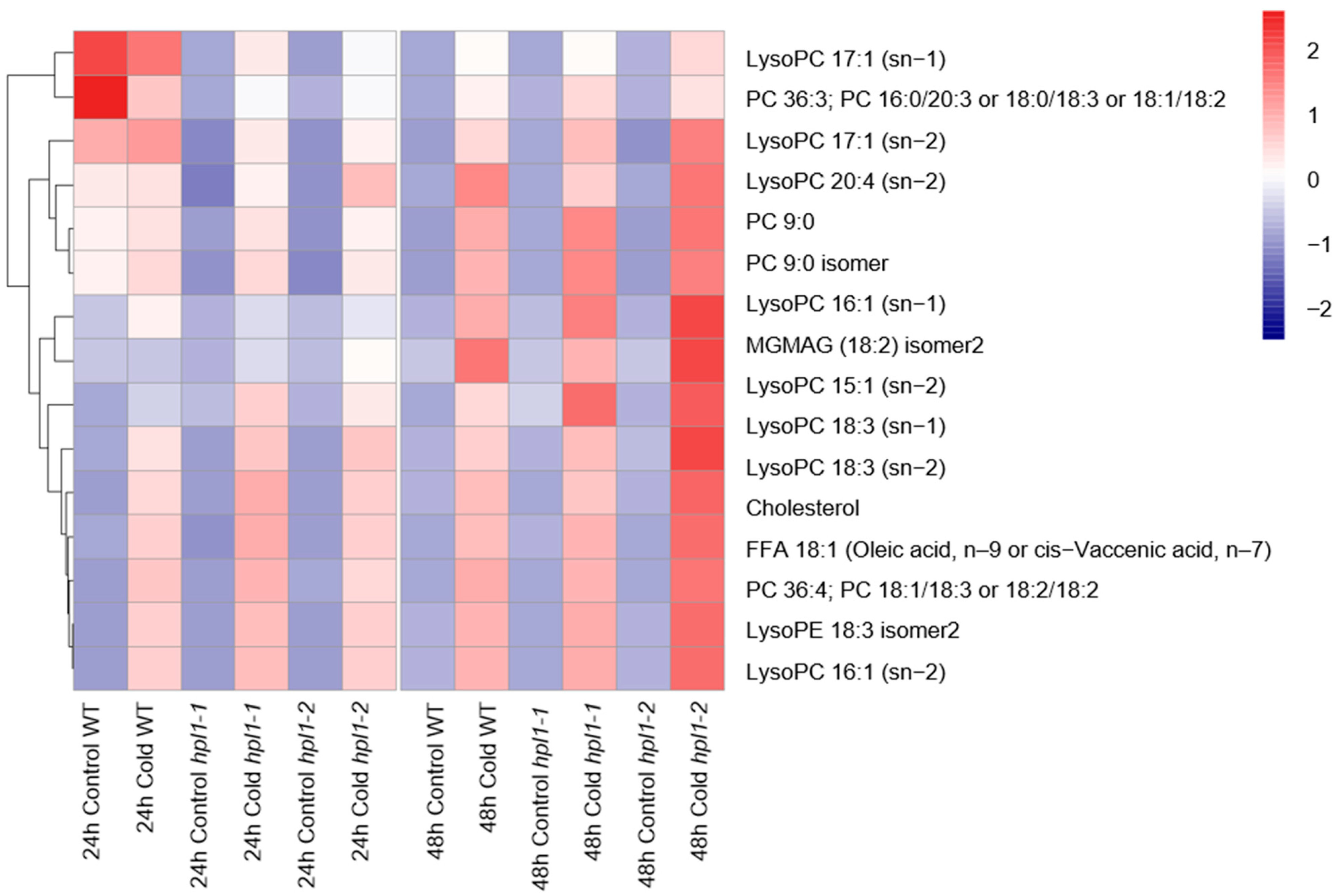 Plants 12 02032 g007 Plants 12 02032 g007