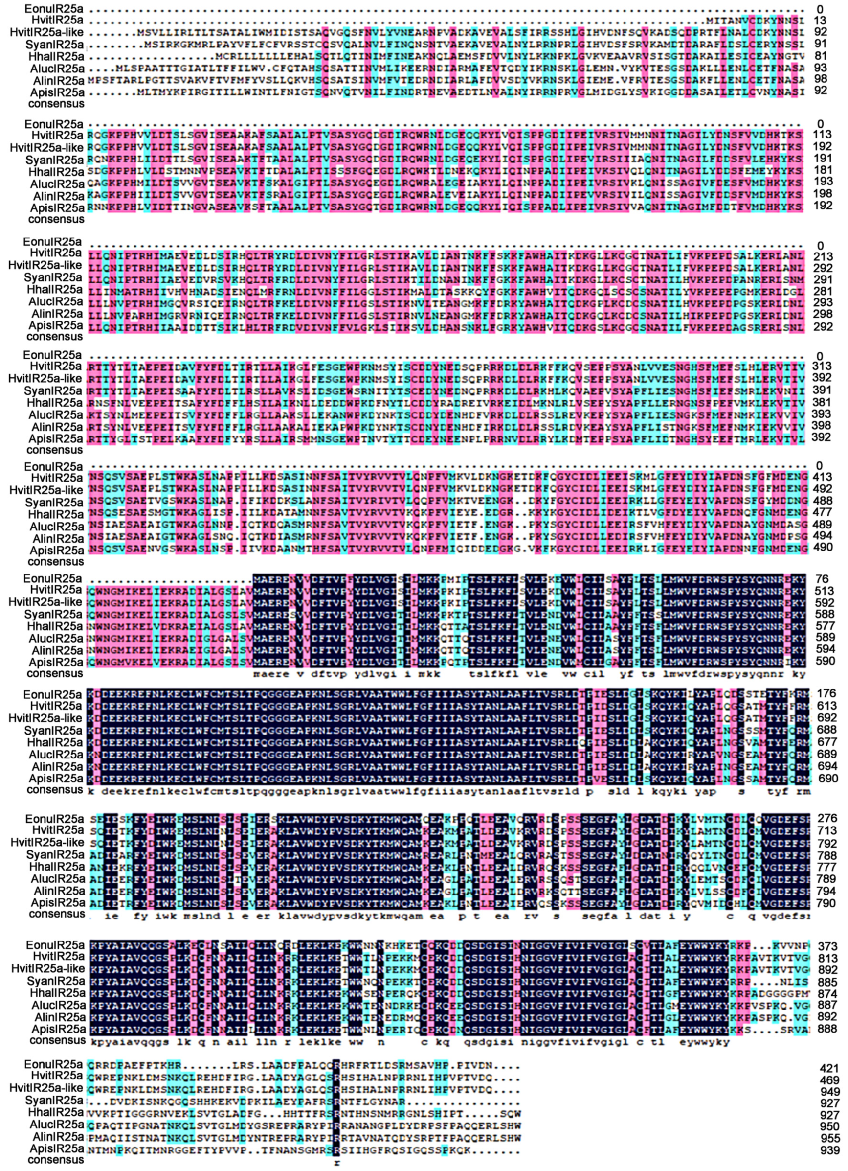 Plants 12 02034 g003 Plants 12 02034 g003