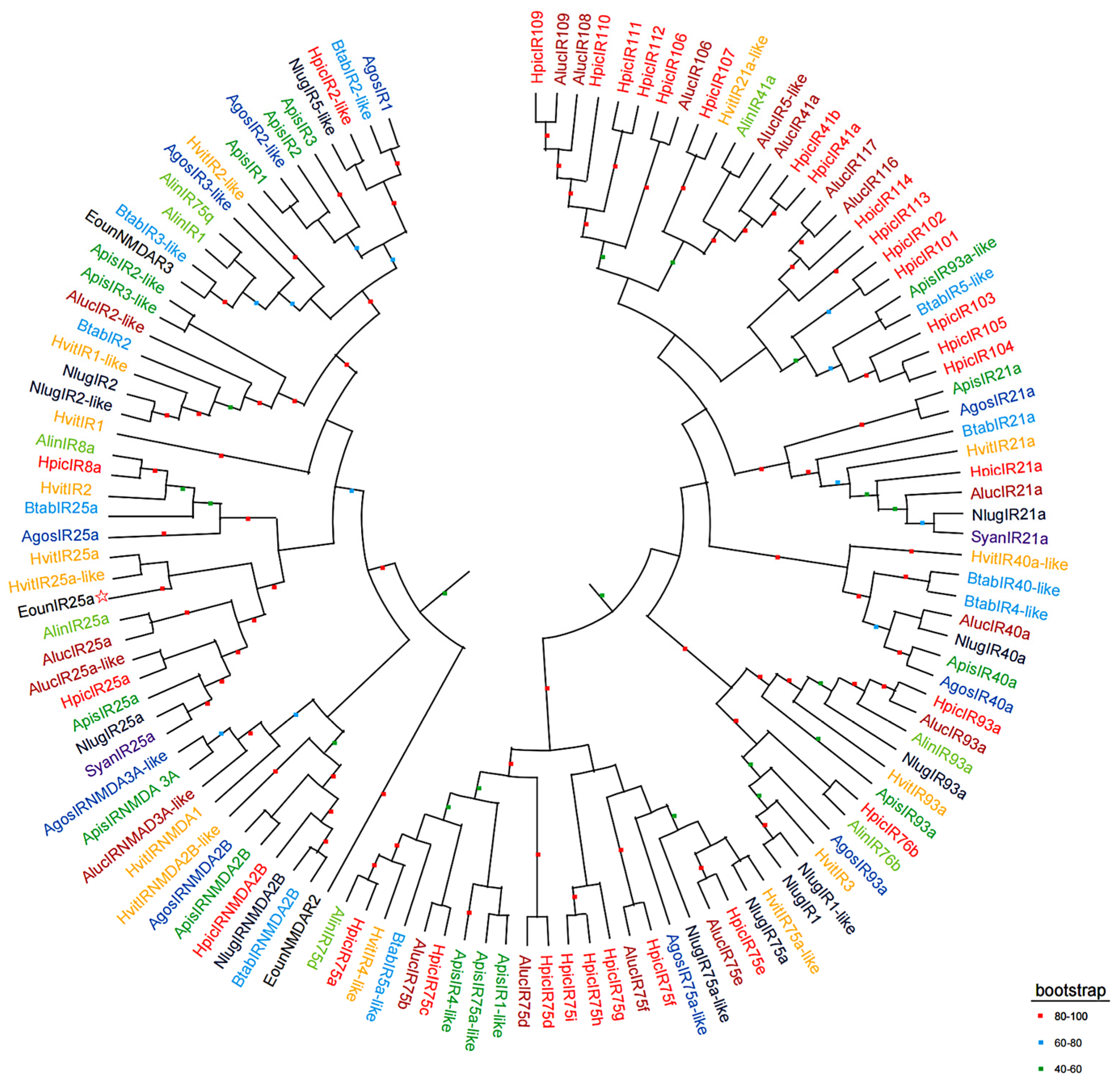 Plants 12 02034 g004 Plants 12 02034 g004