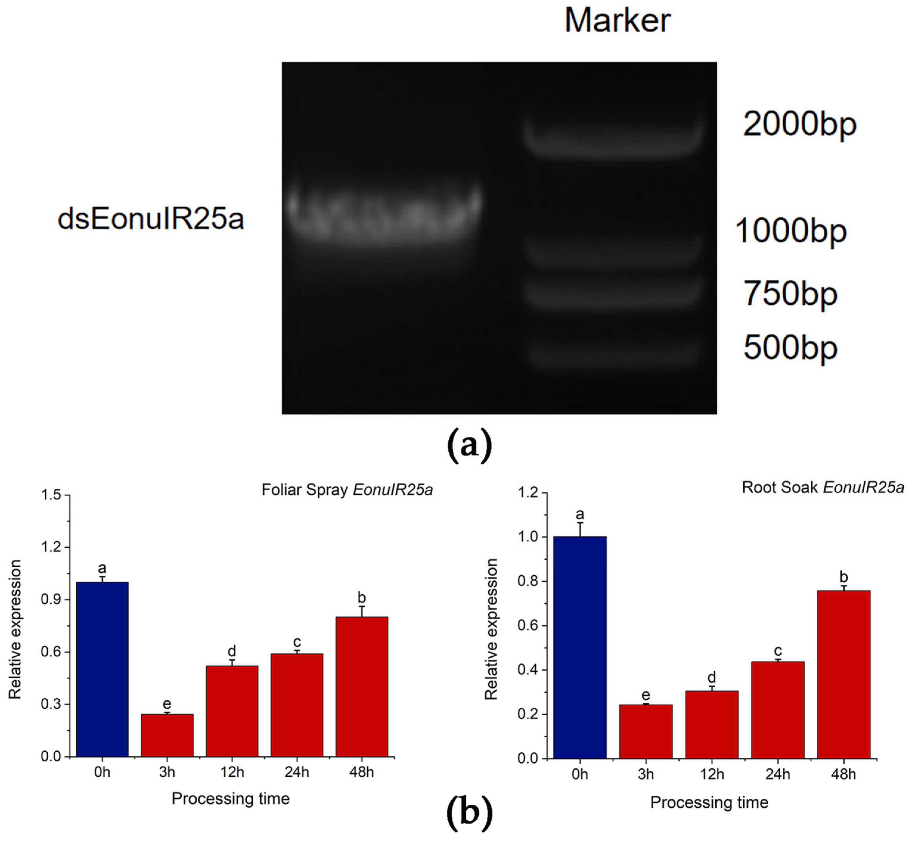 Plants 12 02034 g007 Plants 12 02034 g007