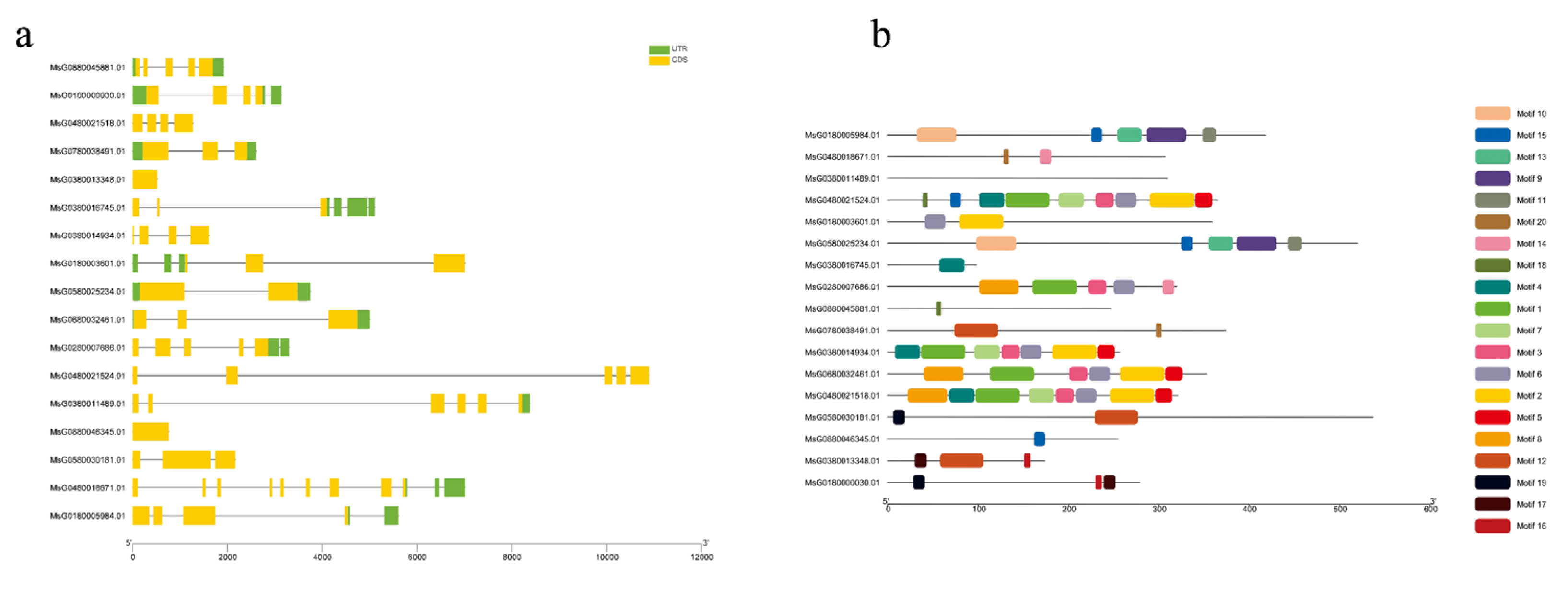 Plants Free FullText Transcriptome and Metabolome Analysis of