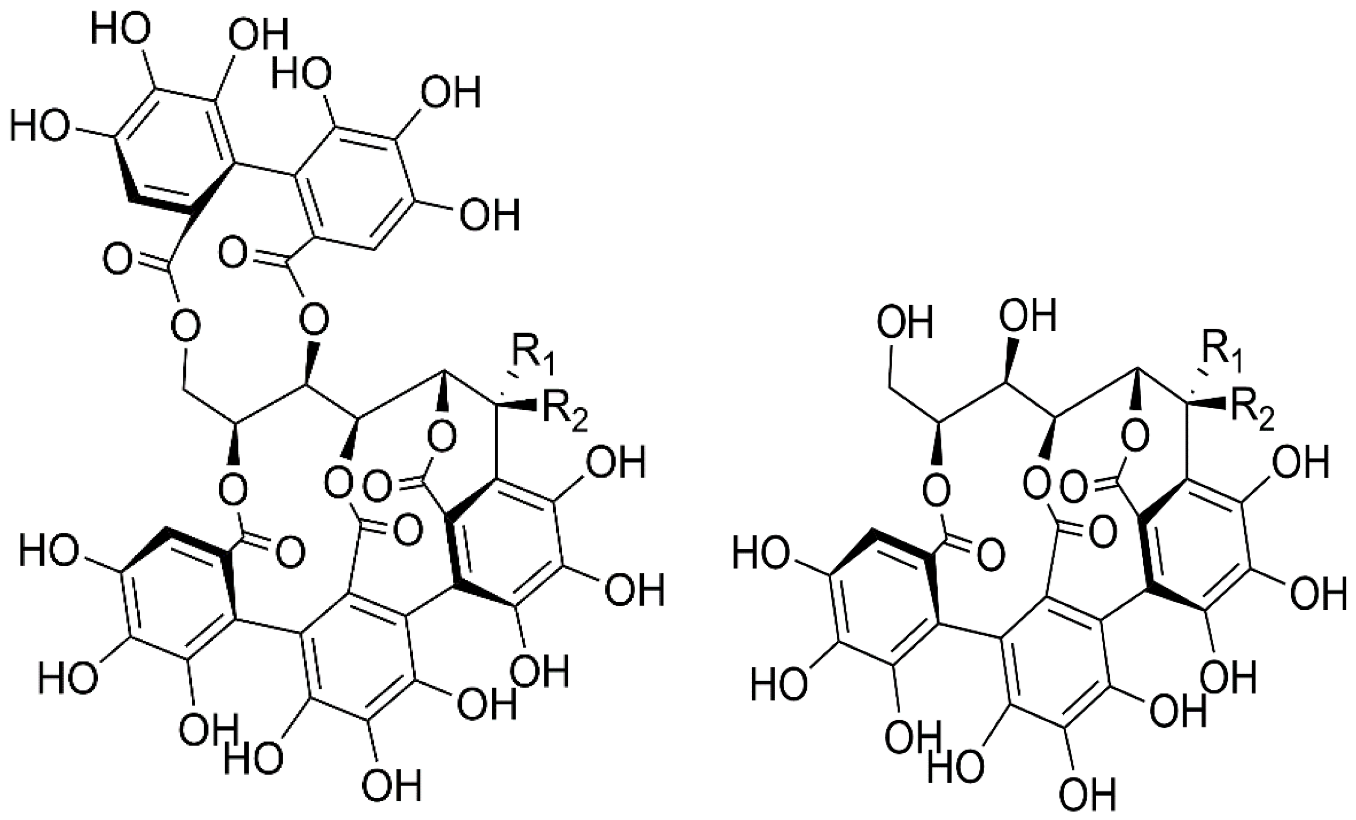 Plants 12 02043 g001 Plants 12 02043 g001