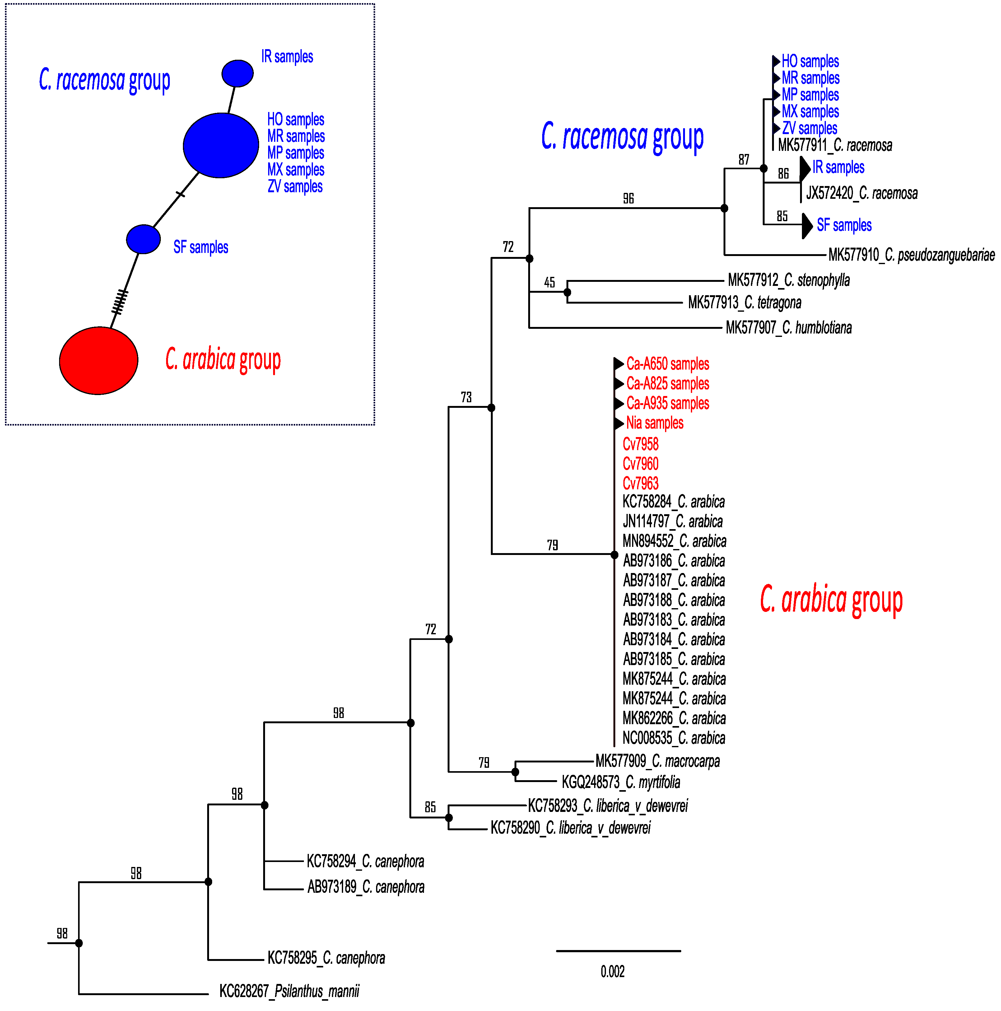 Plants 12 02044 g002