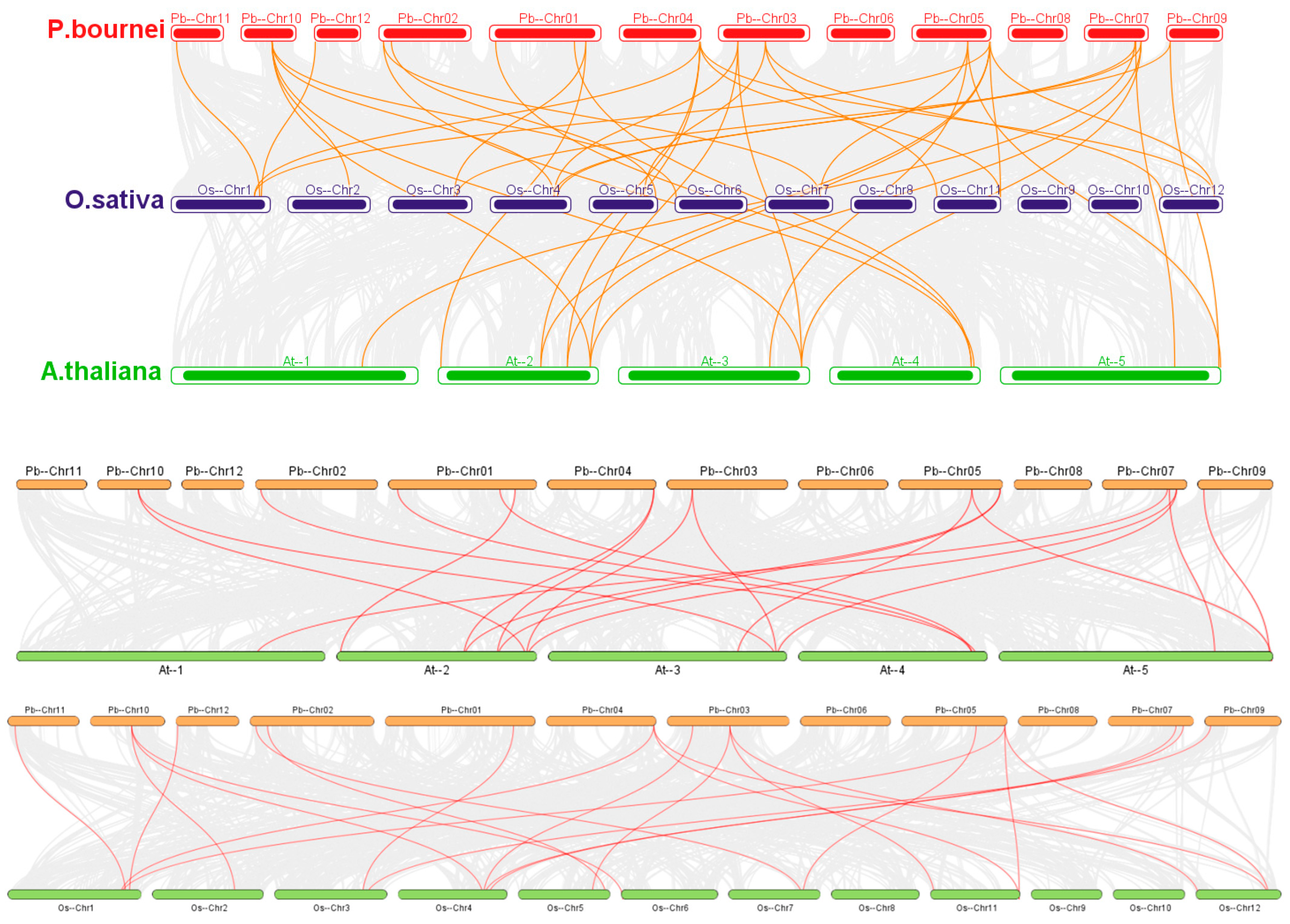 Plants 12 02048 g003