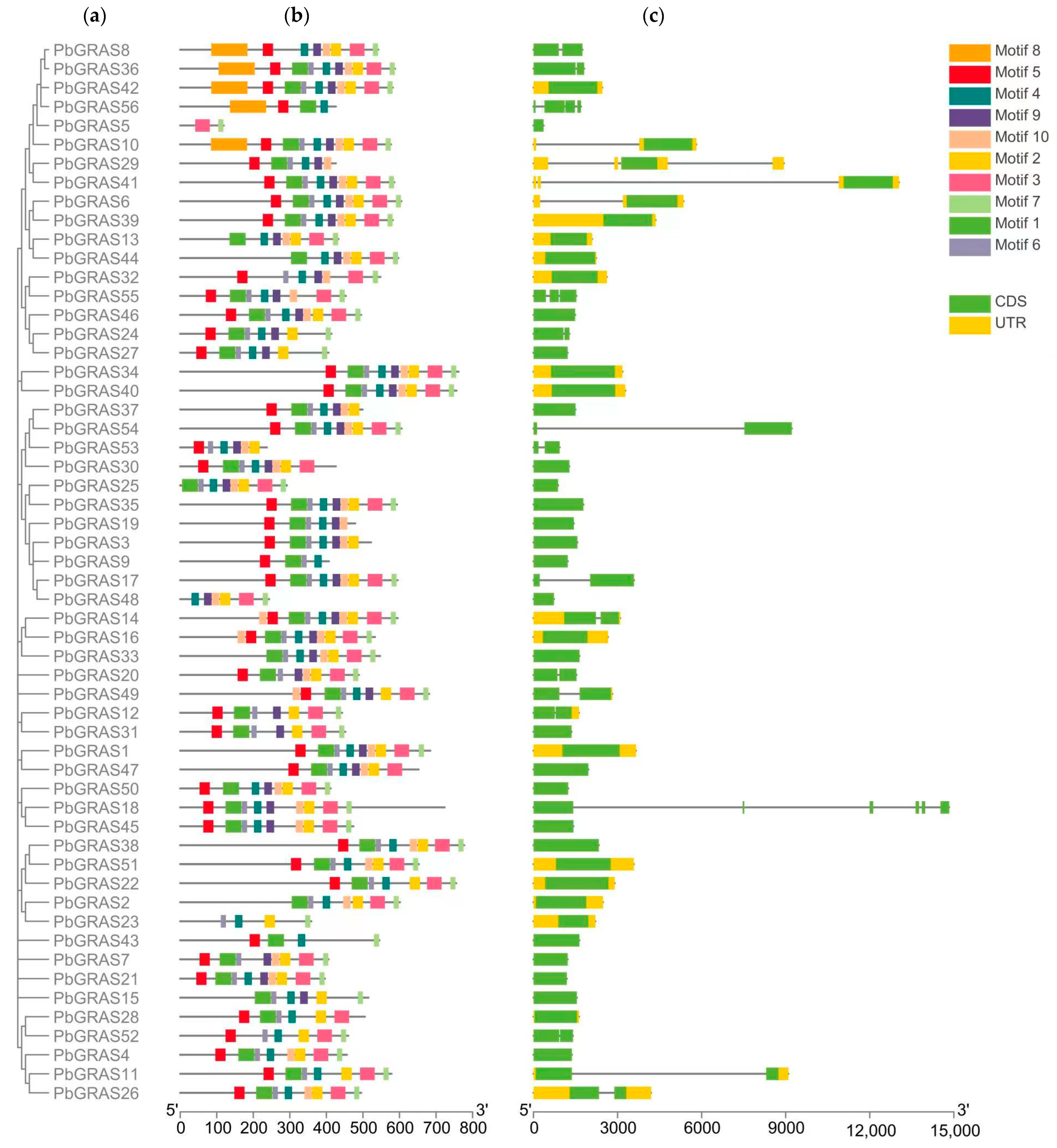 Plants 12 02048 g004
