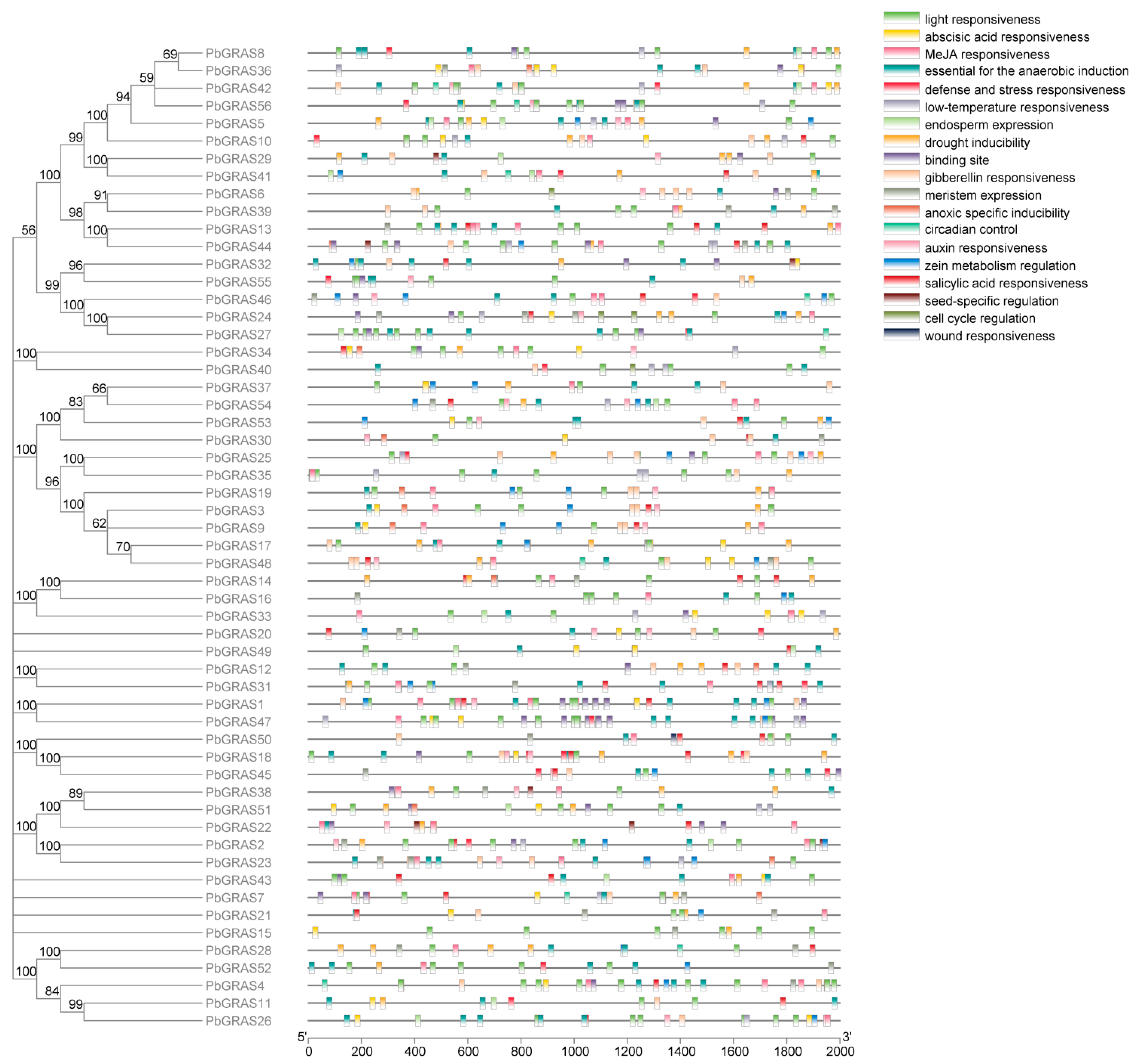 Plants 12 02048 g006