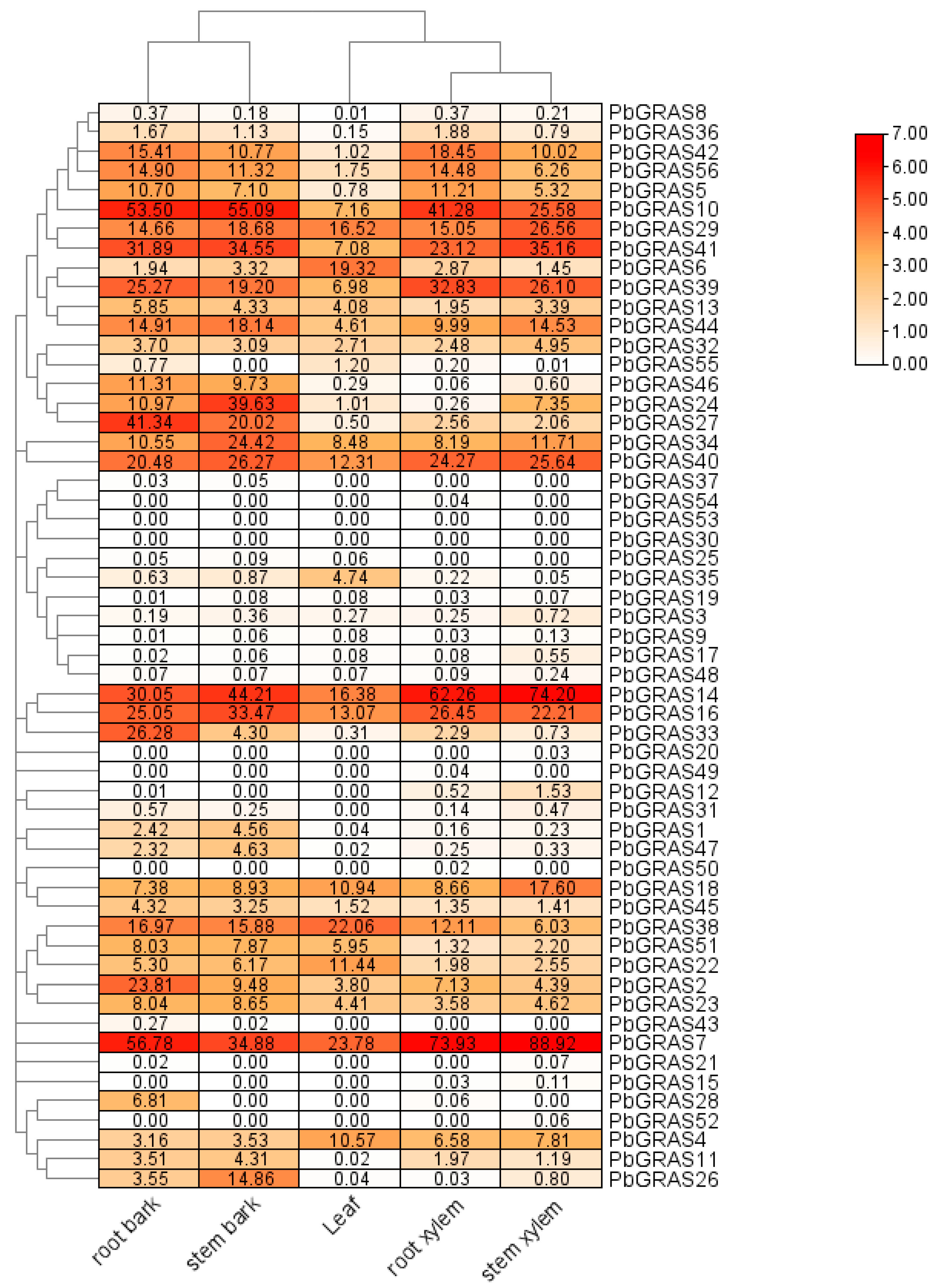Plants 12 02048 g007