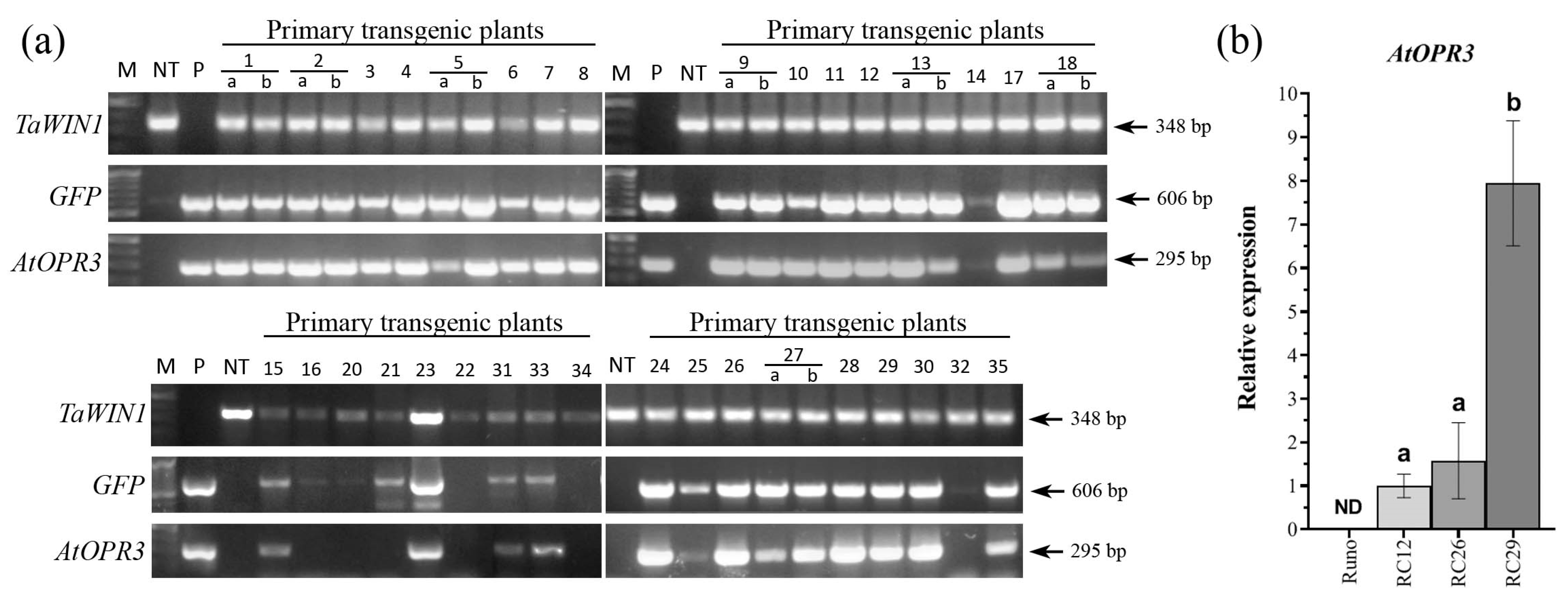 Plants 12 02050 g001 Plants 12 02050 g001