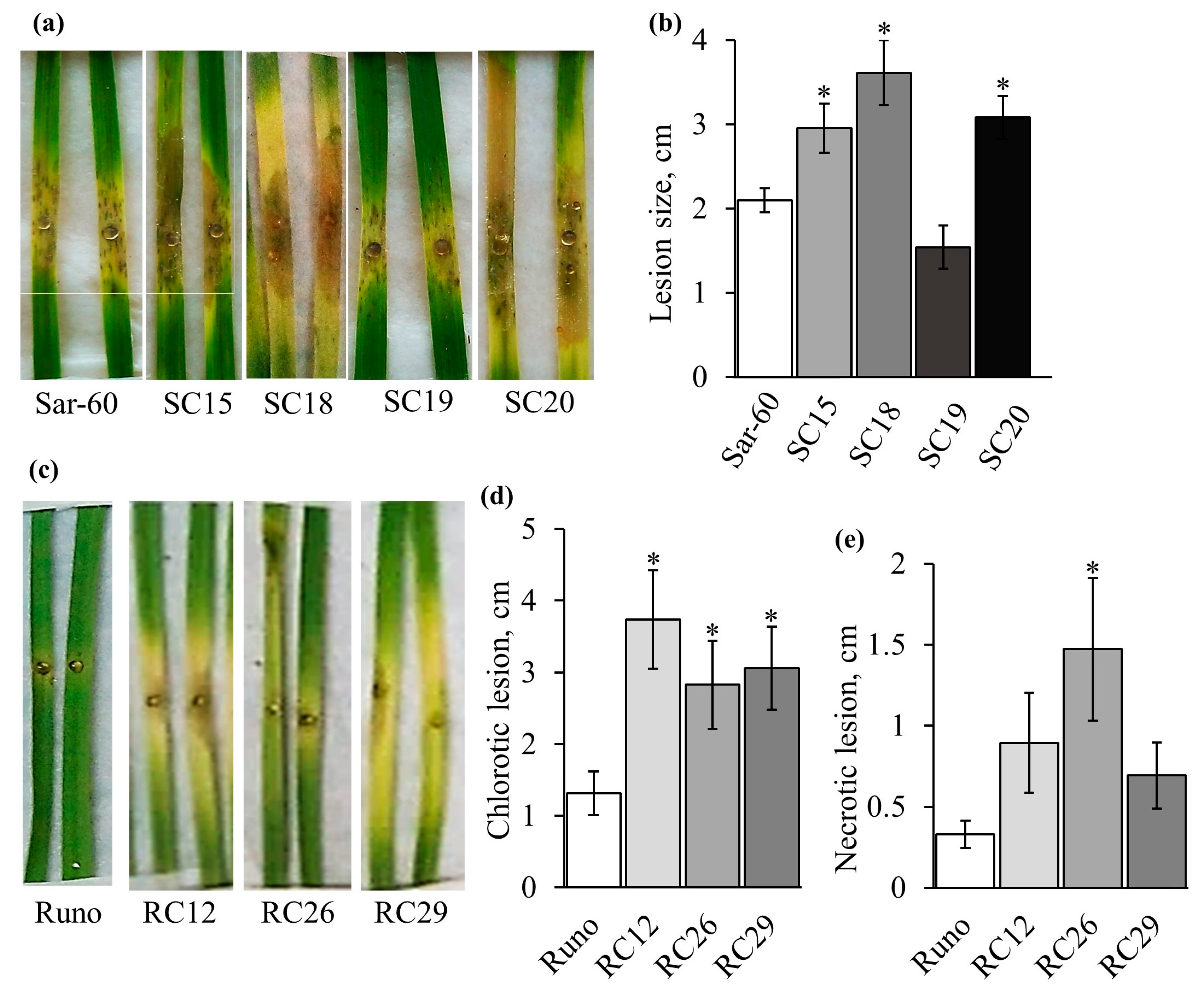 Plants 12 02050 g005 Plants 12 02050 g005