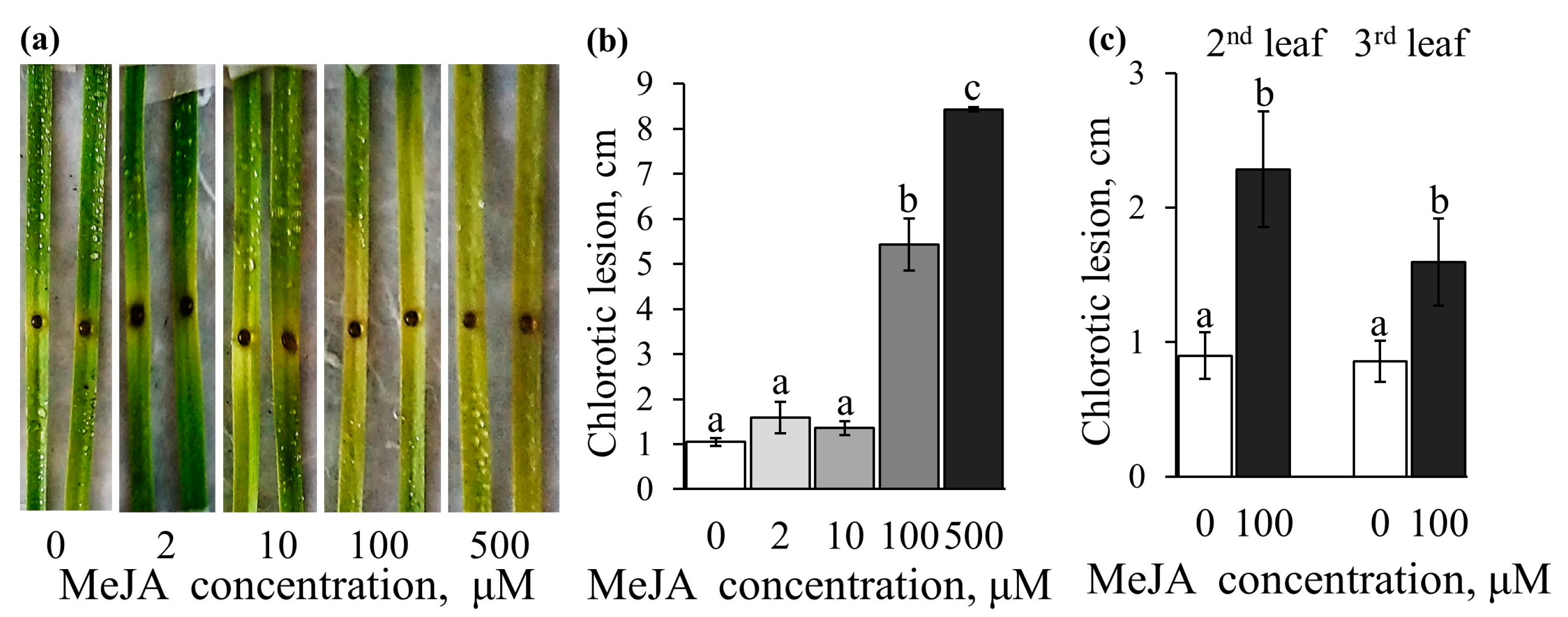 Plants 12 02050 g007 Plants 12 02050 g007