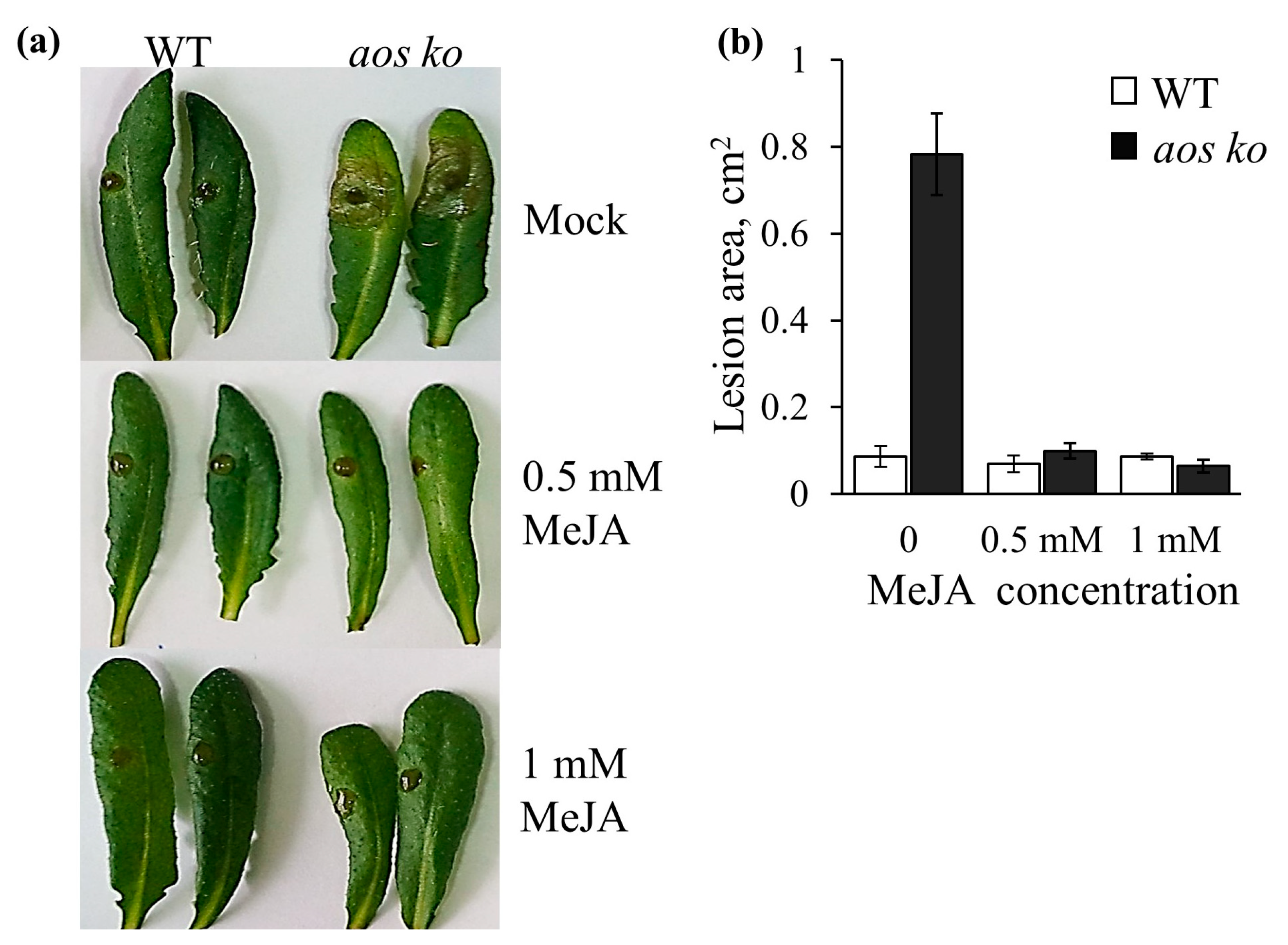 Plants 12 02050 g009 Plants 12 02050 g009