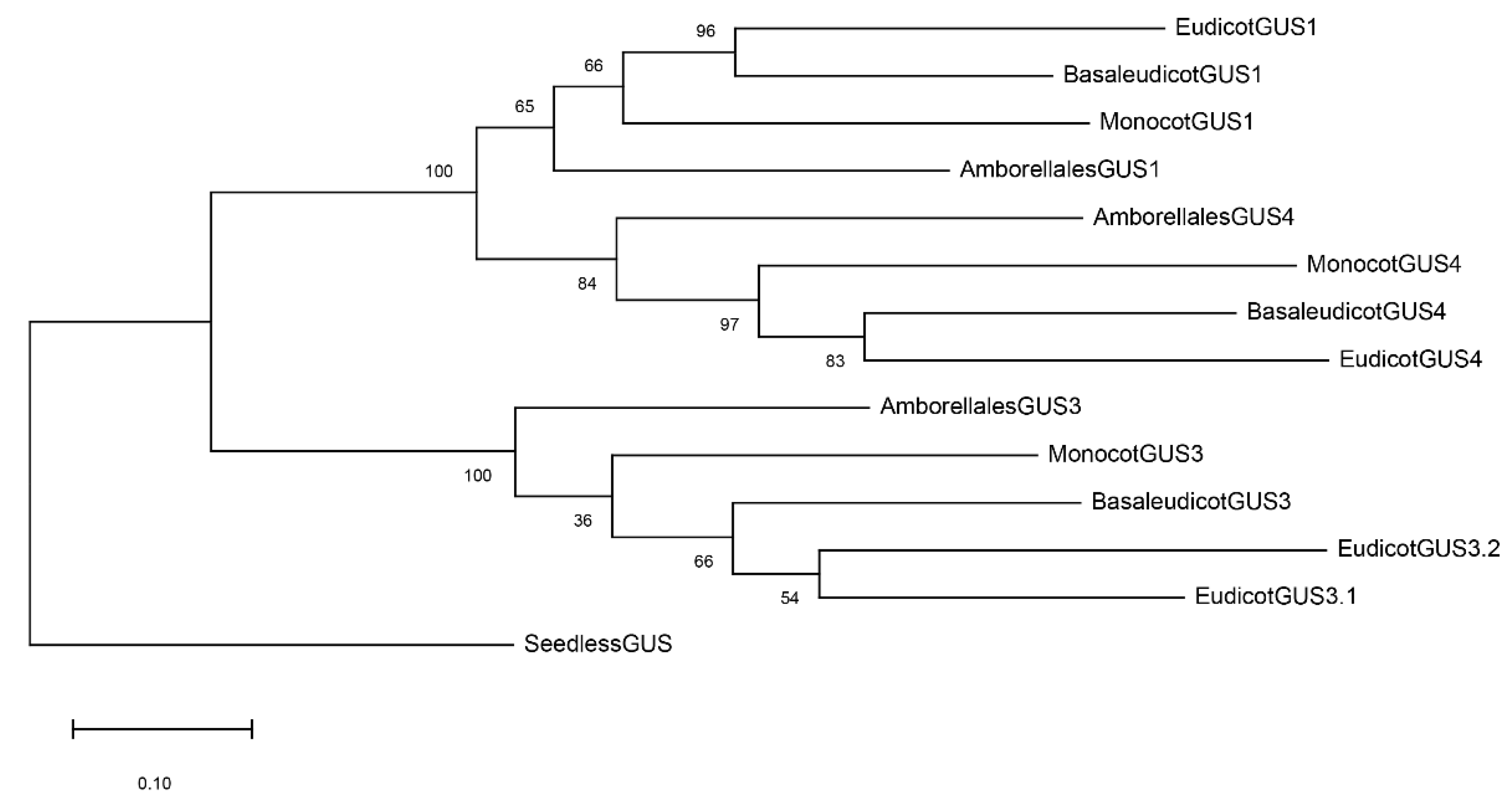 Plants 12 02051 g005 Plants 12 02051 g005