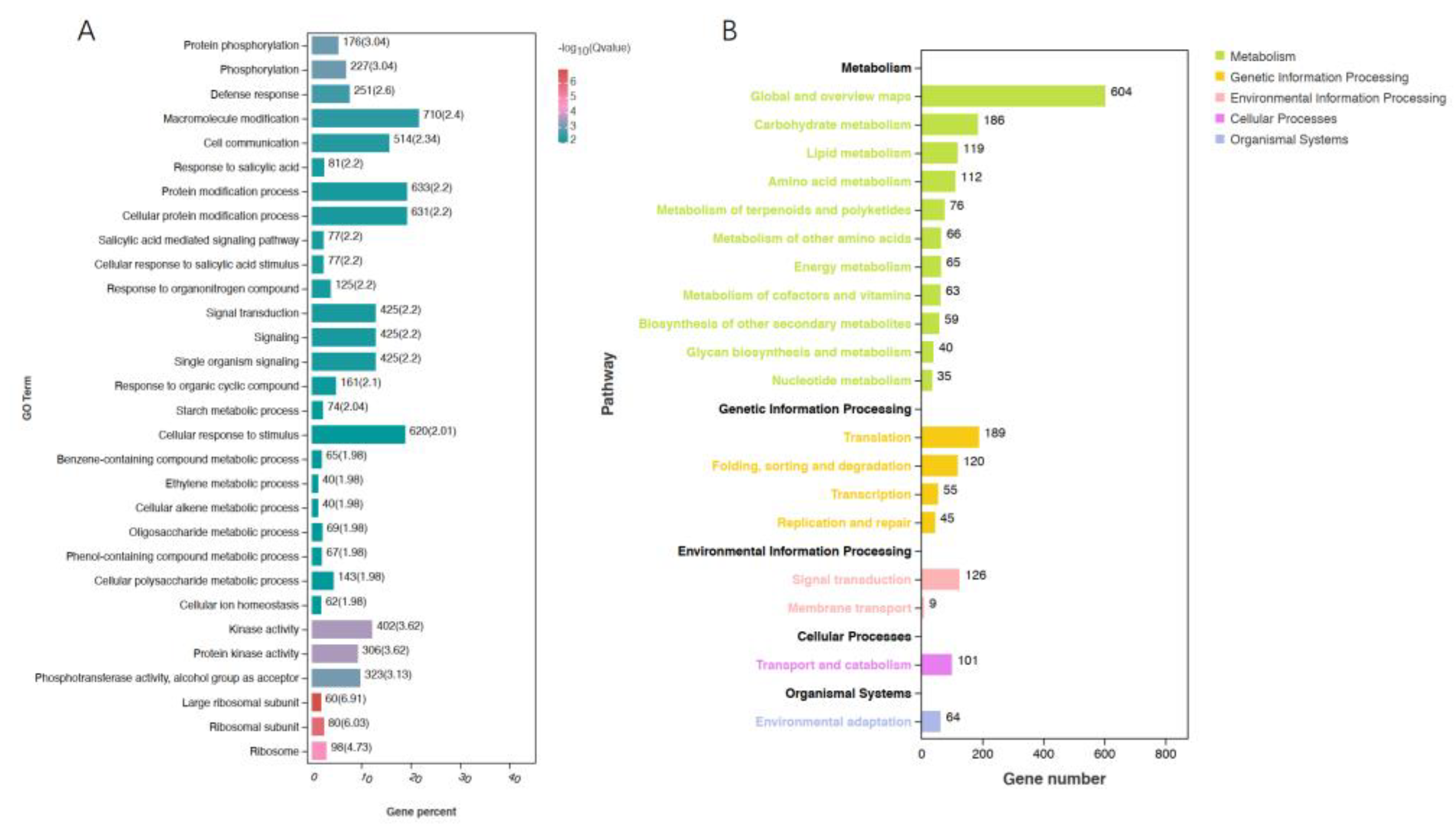 Plants 12 02052 g003 Plants 12 02052 g003