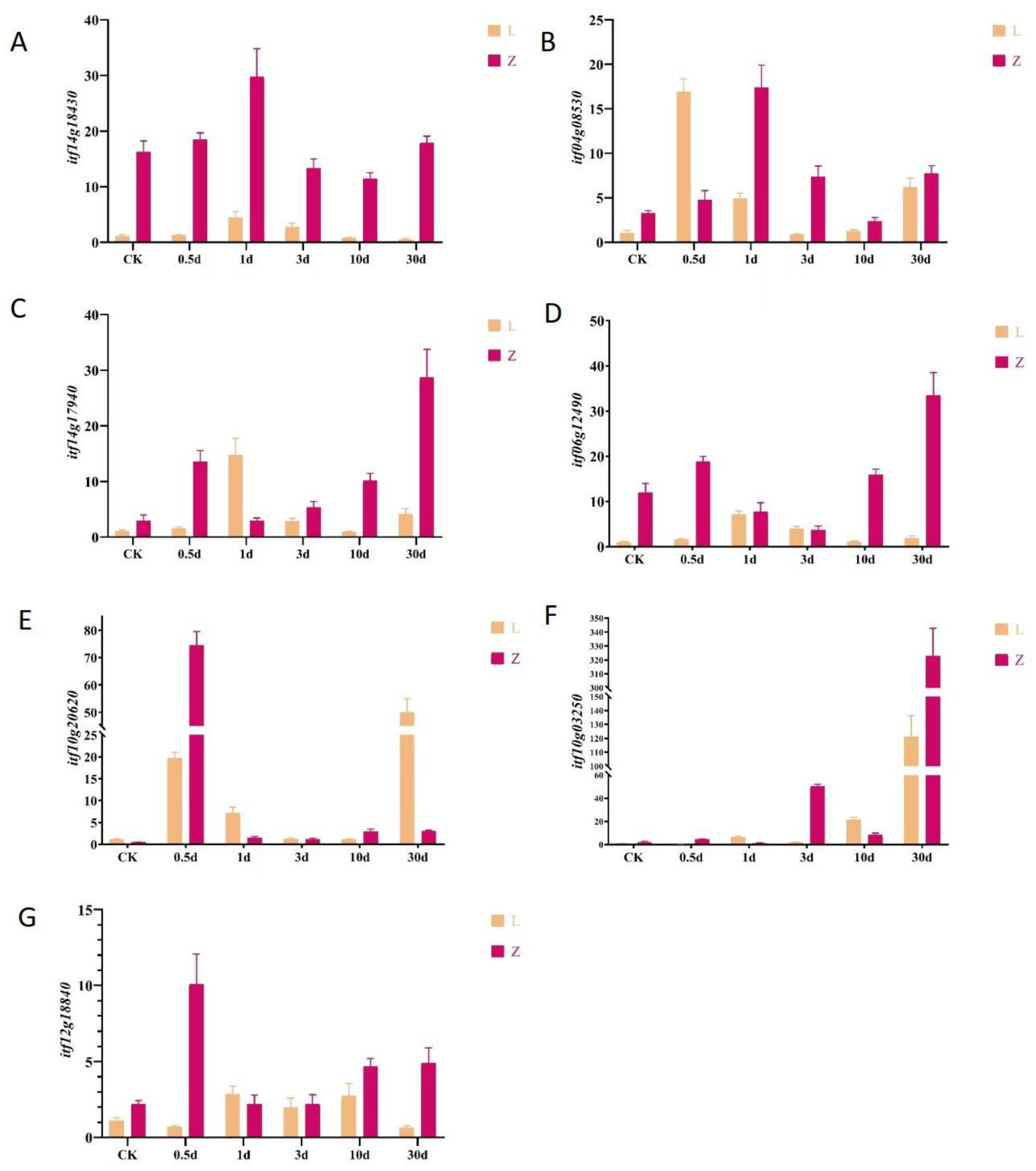Plants 12 02052 g007 Plants 12 02052 g007