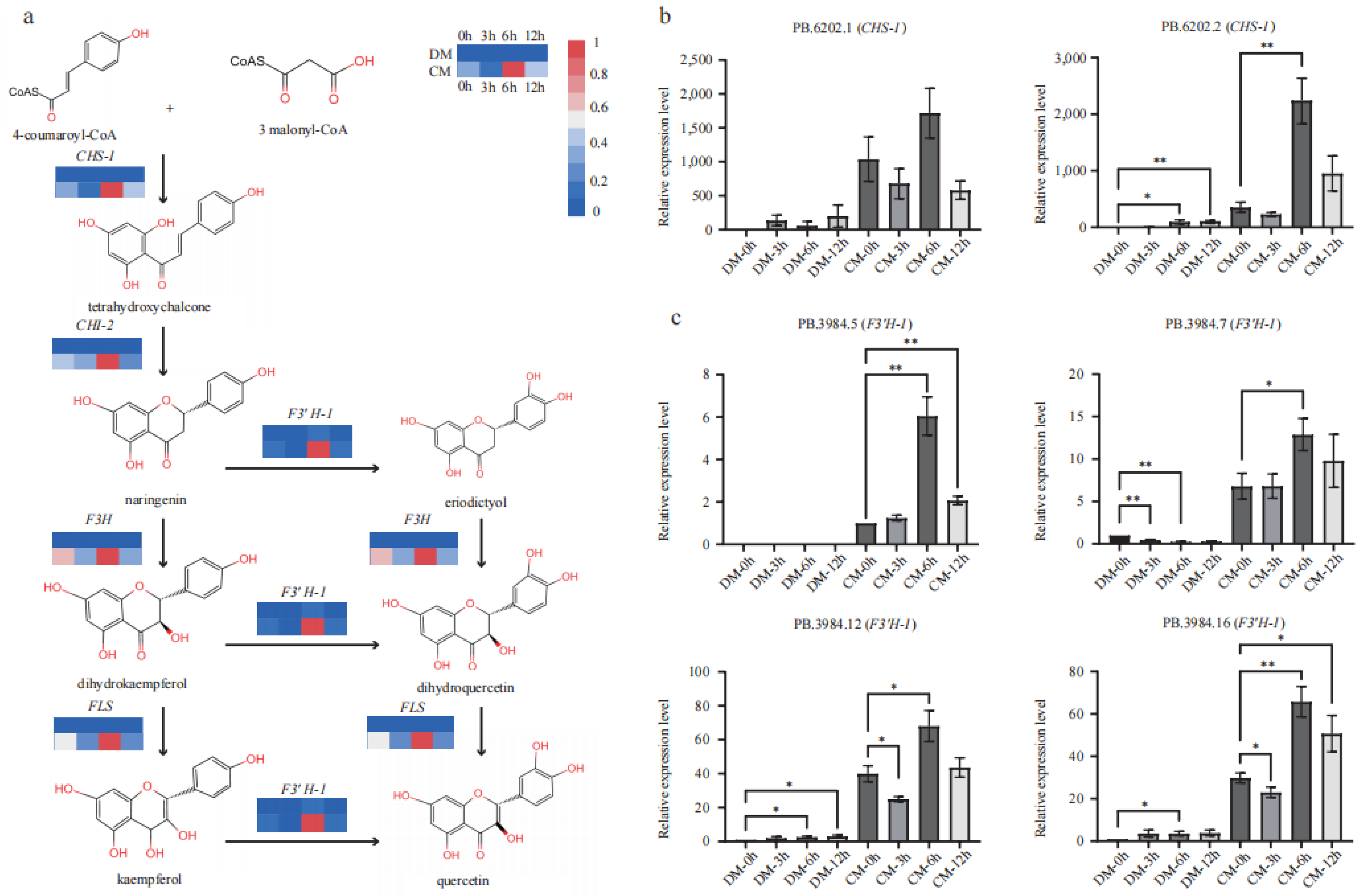 Plants 12 02054 g005 Plants 12 02054 g005