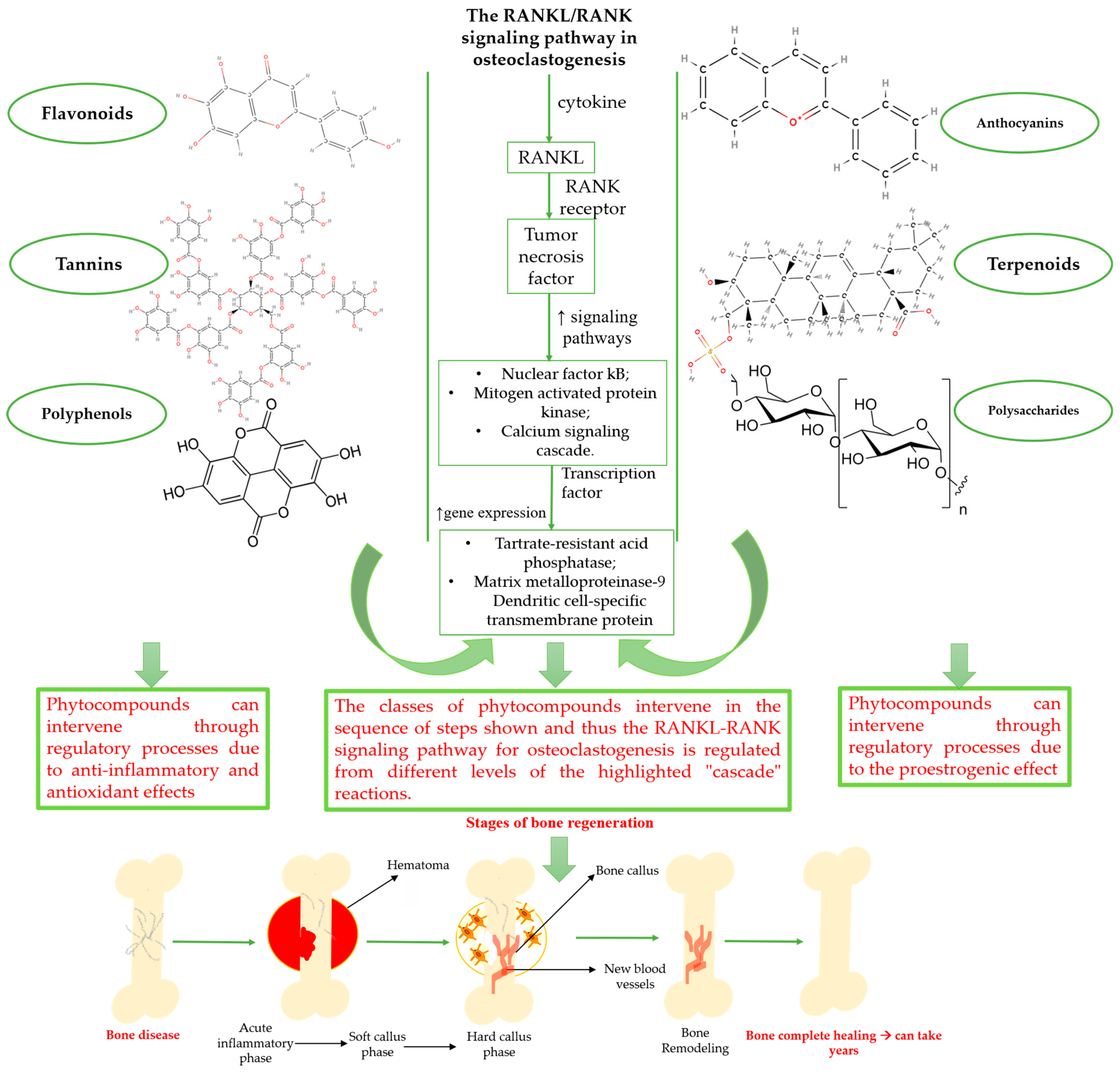Plants 12 02055 g002 Plants 12 02055 g002