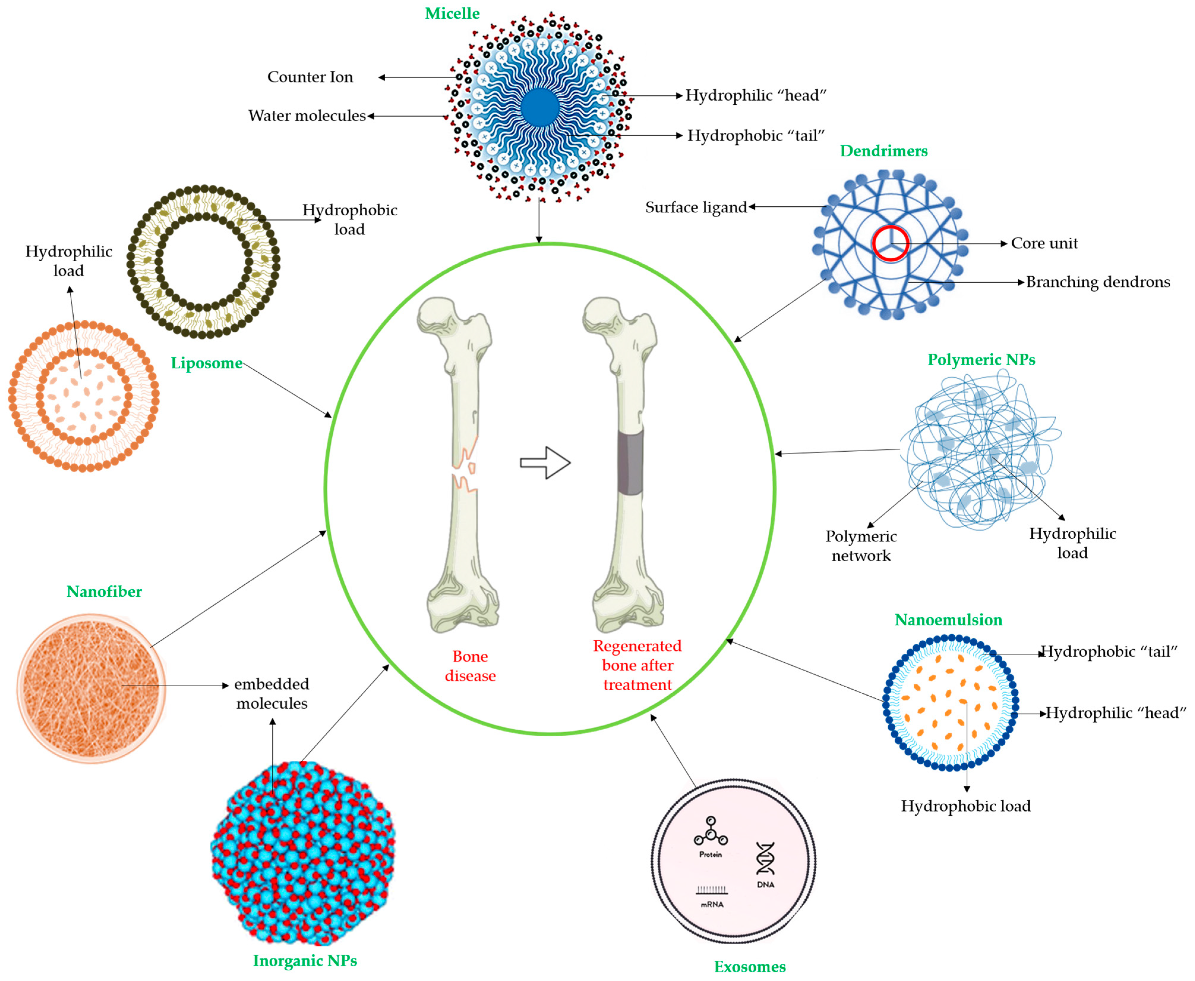 Plants 12 02055 g003 Plants 12 02055 g003