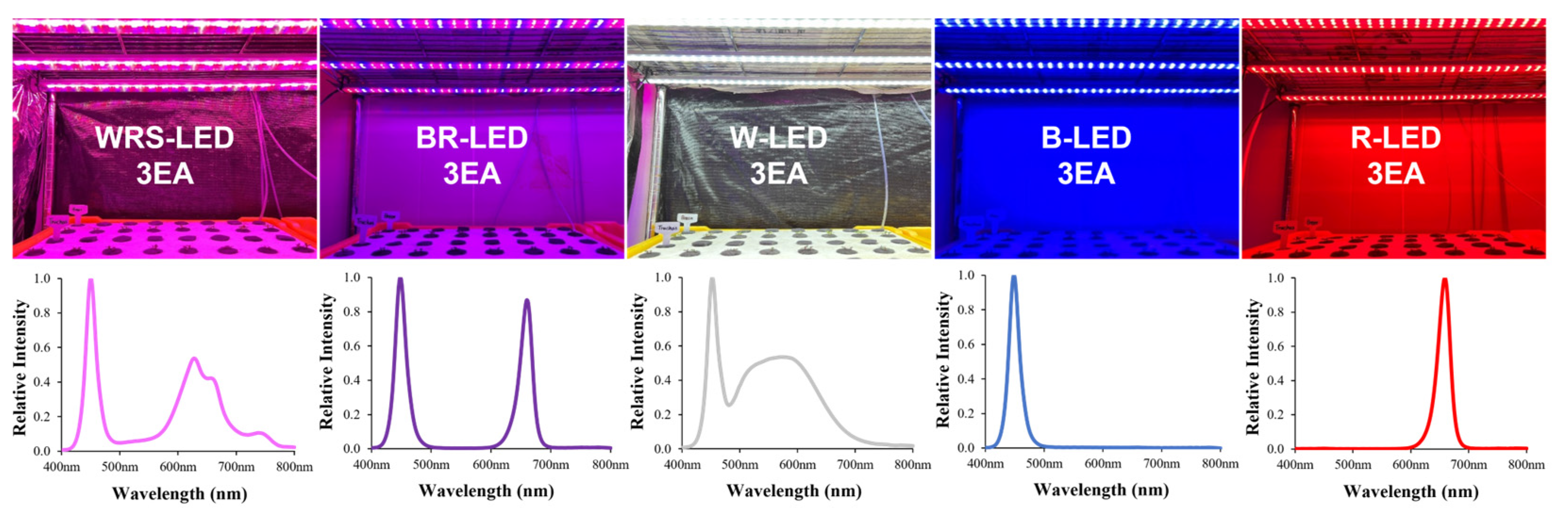 Plants 12 02056 g005 Plants 12 02056 g005