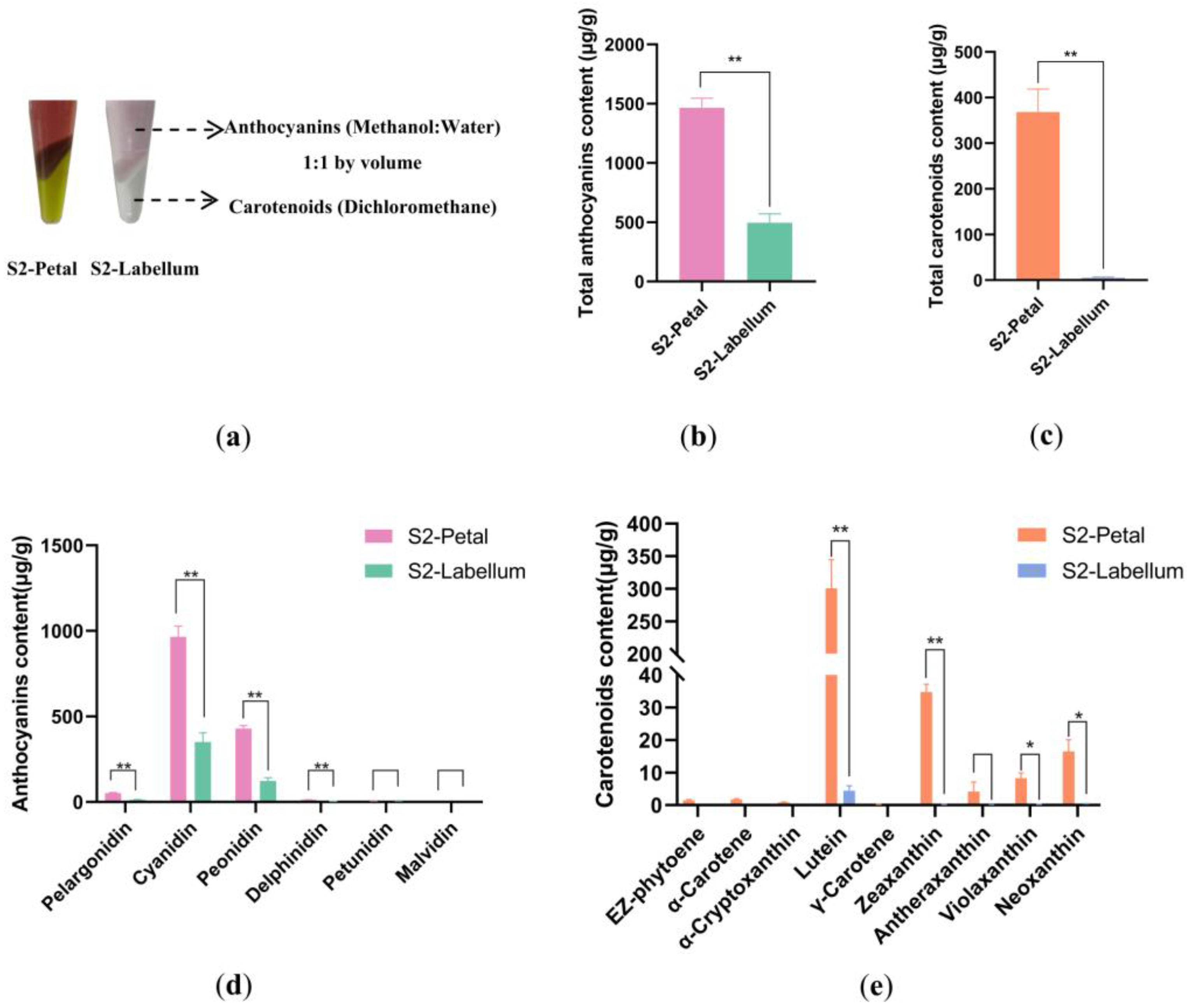 Plants 12 02058 g002 Plants 12 02058 g002