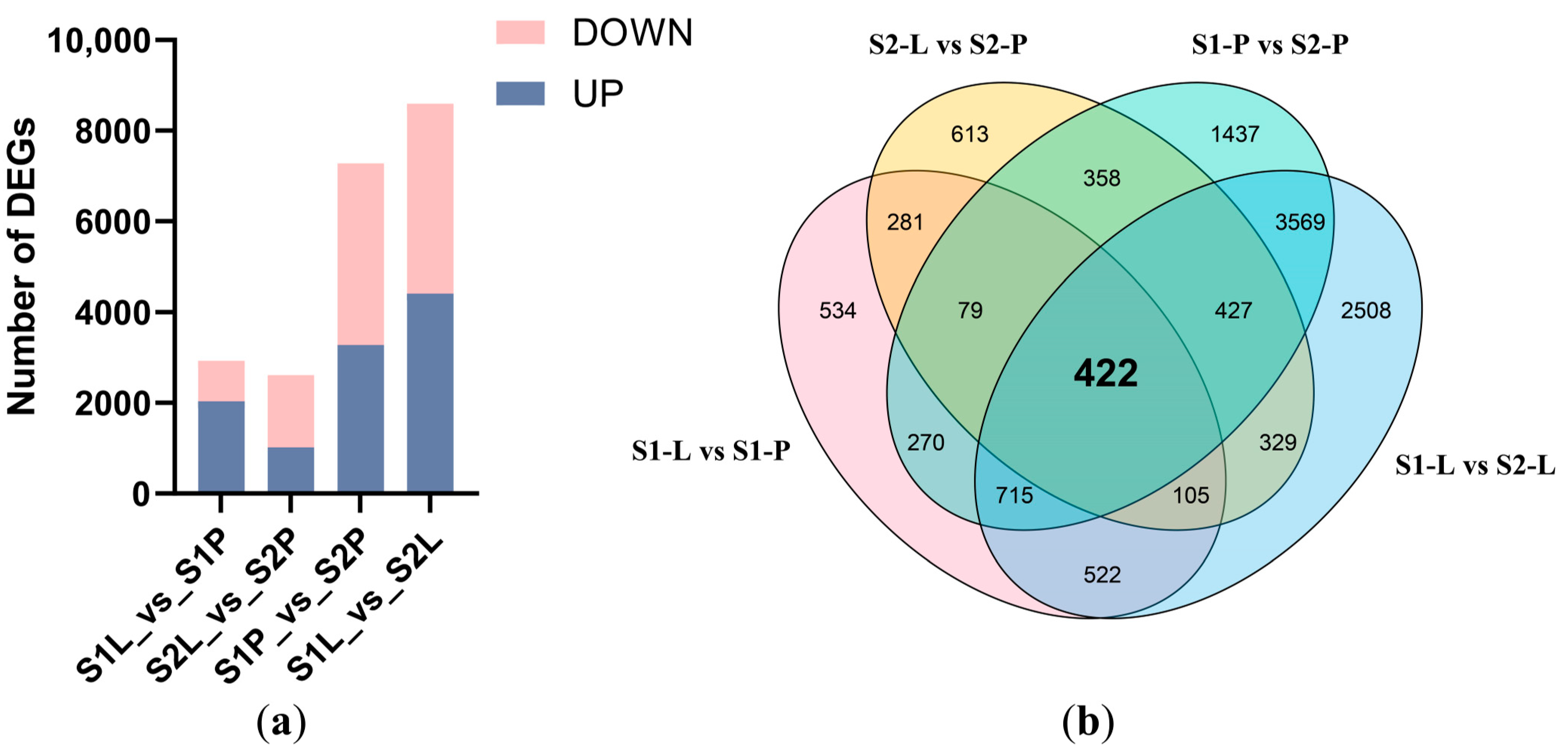 Plants 12 02058 g003 Plants 12 02058 g003