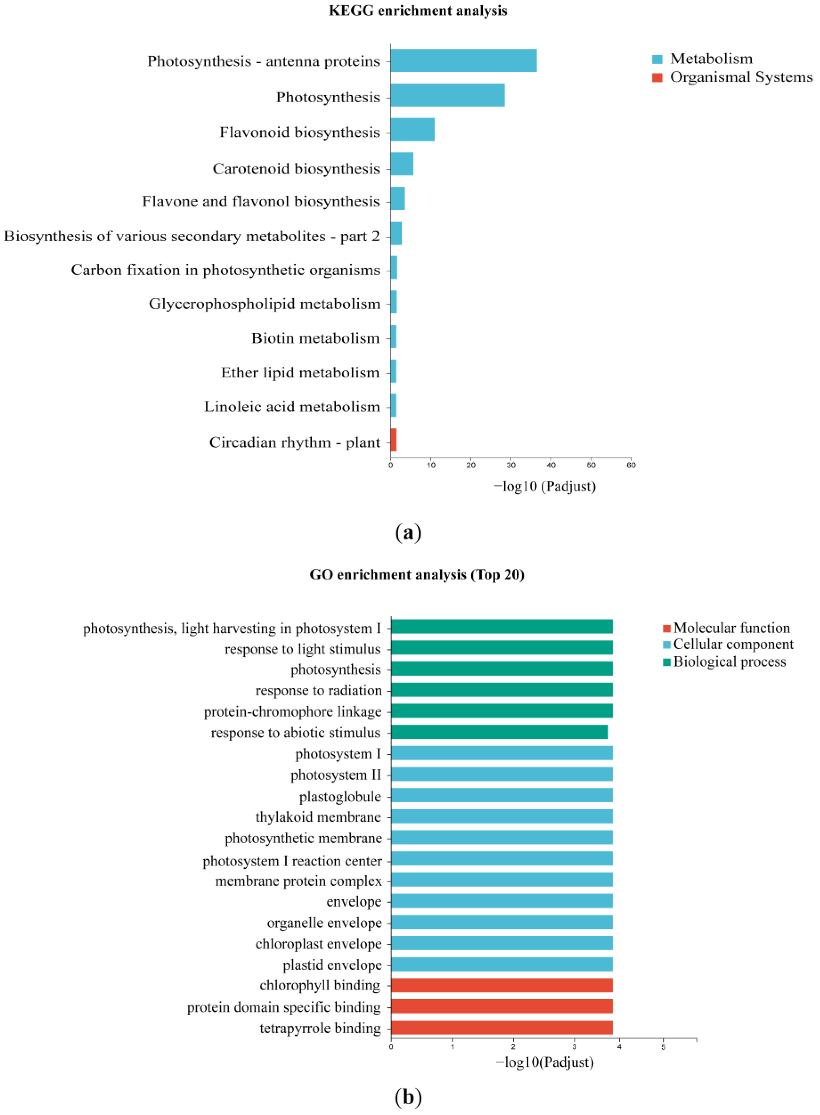 Plants 12 02058 g004 Plants 12 02058 g004