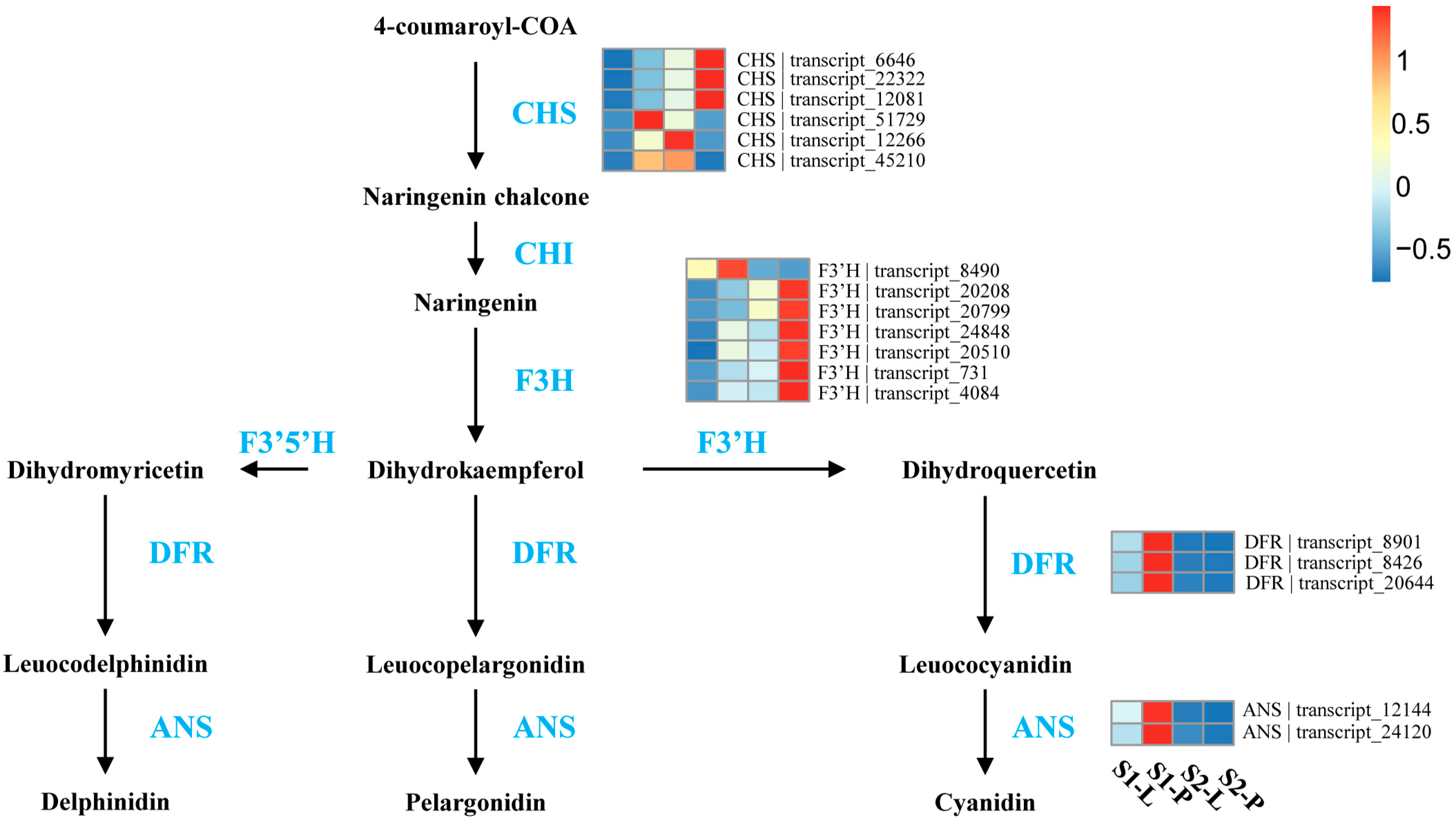 Plants 12 02058 g005 Plants 12 02058 g005