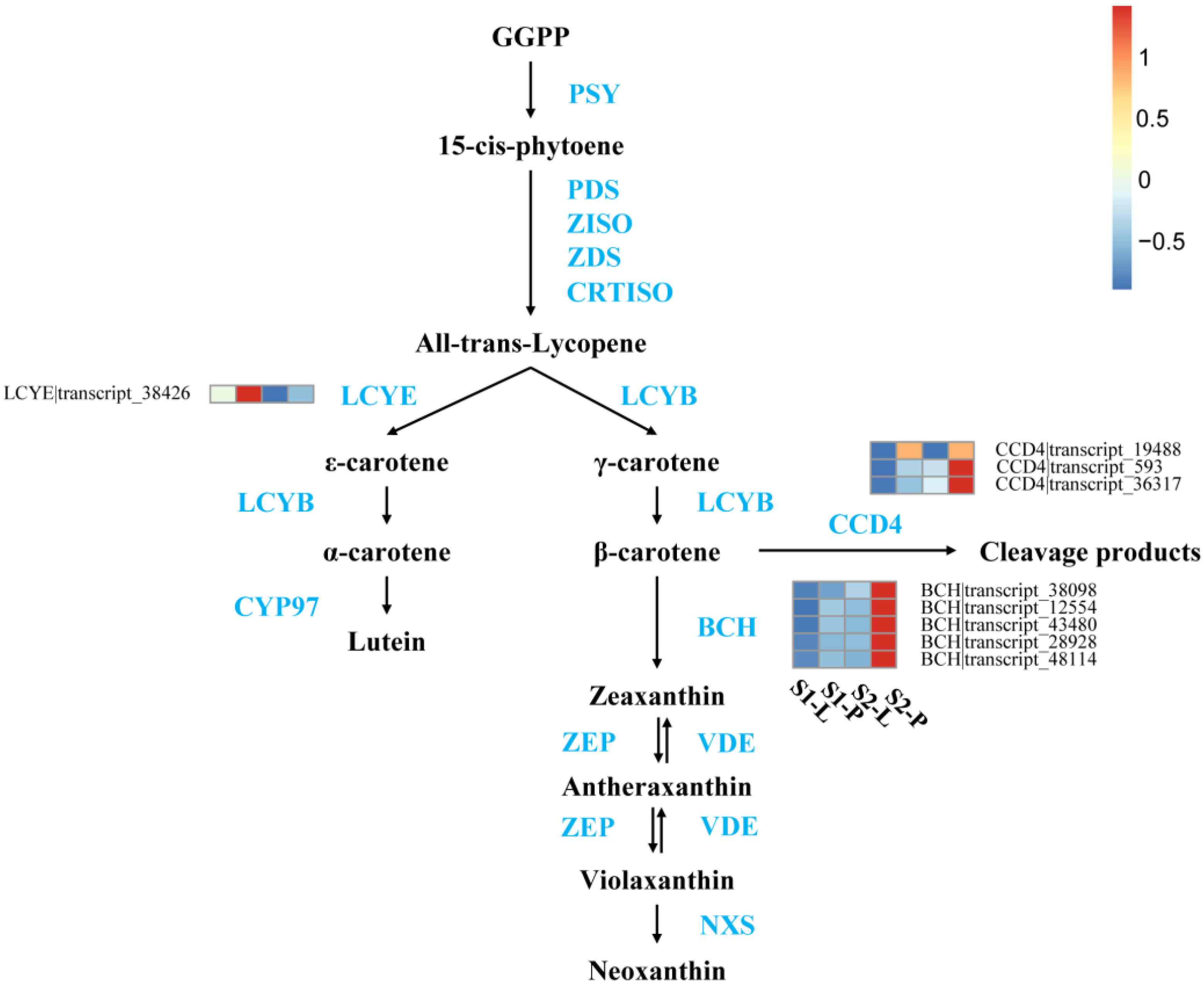 Plants 12 02058 g006 Plants 12 02058 g006