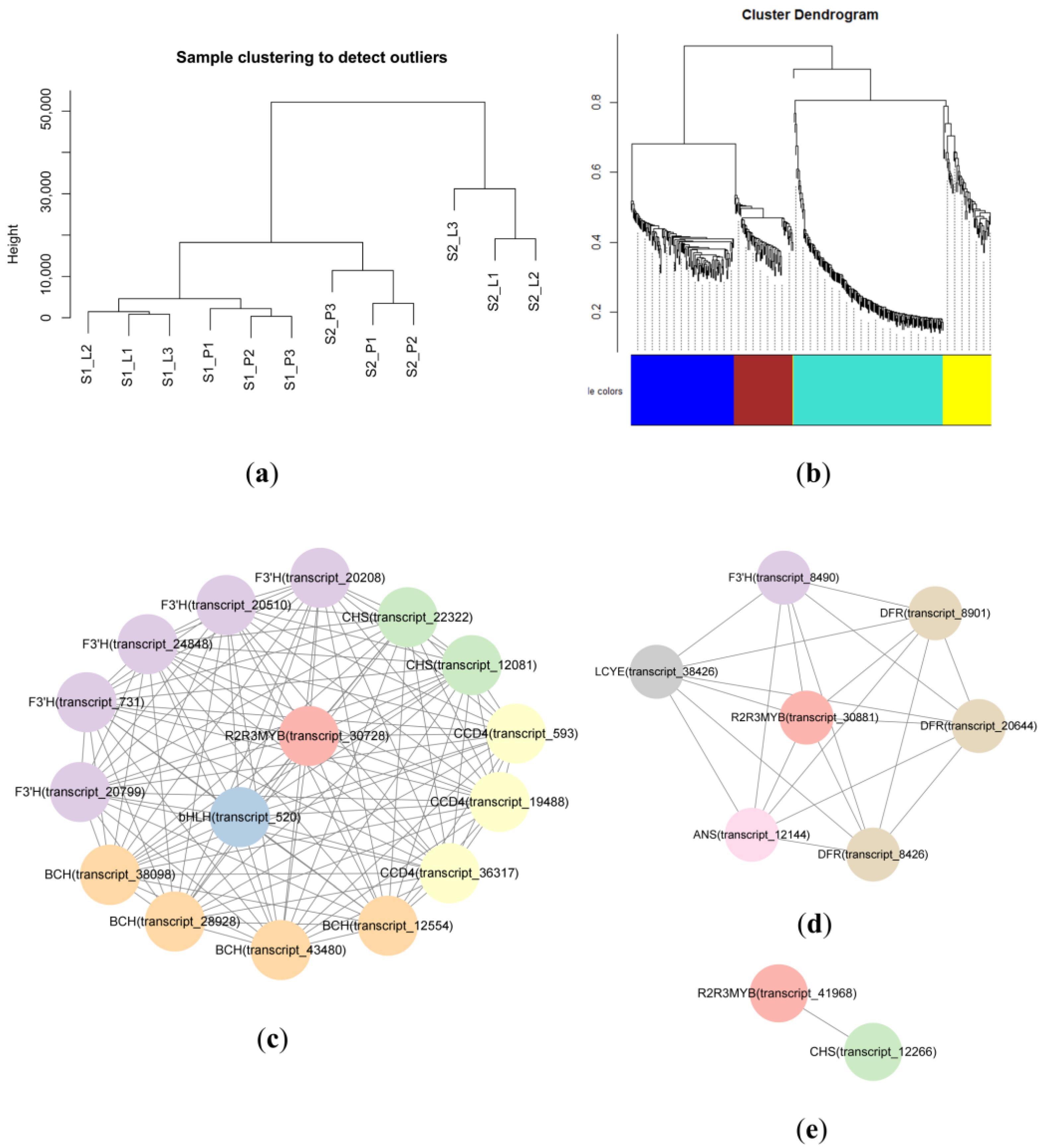 Plants 12 02058 g007 Plants 12 02058 g007