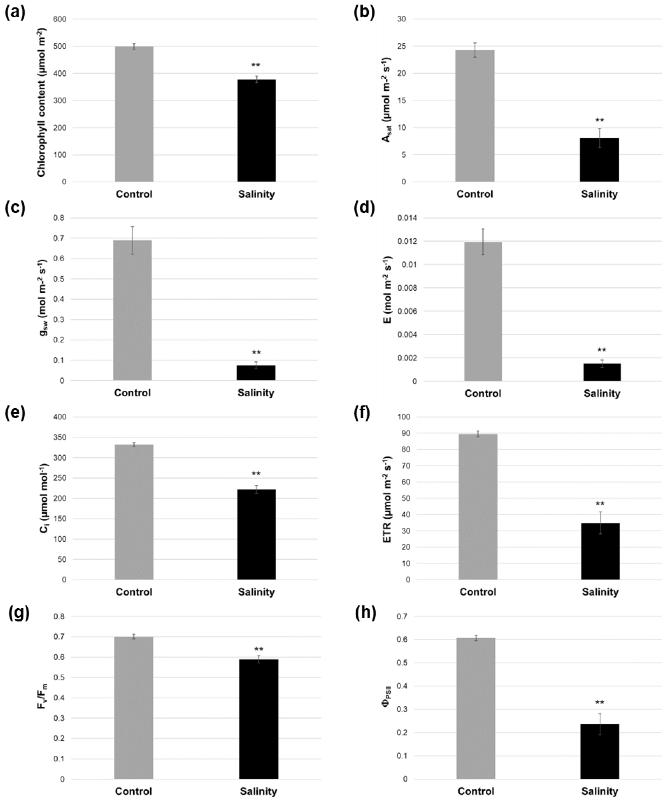 Plants 12 02059 g002