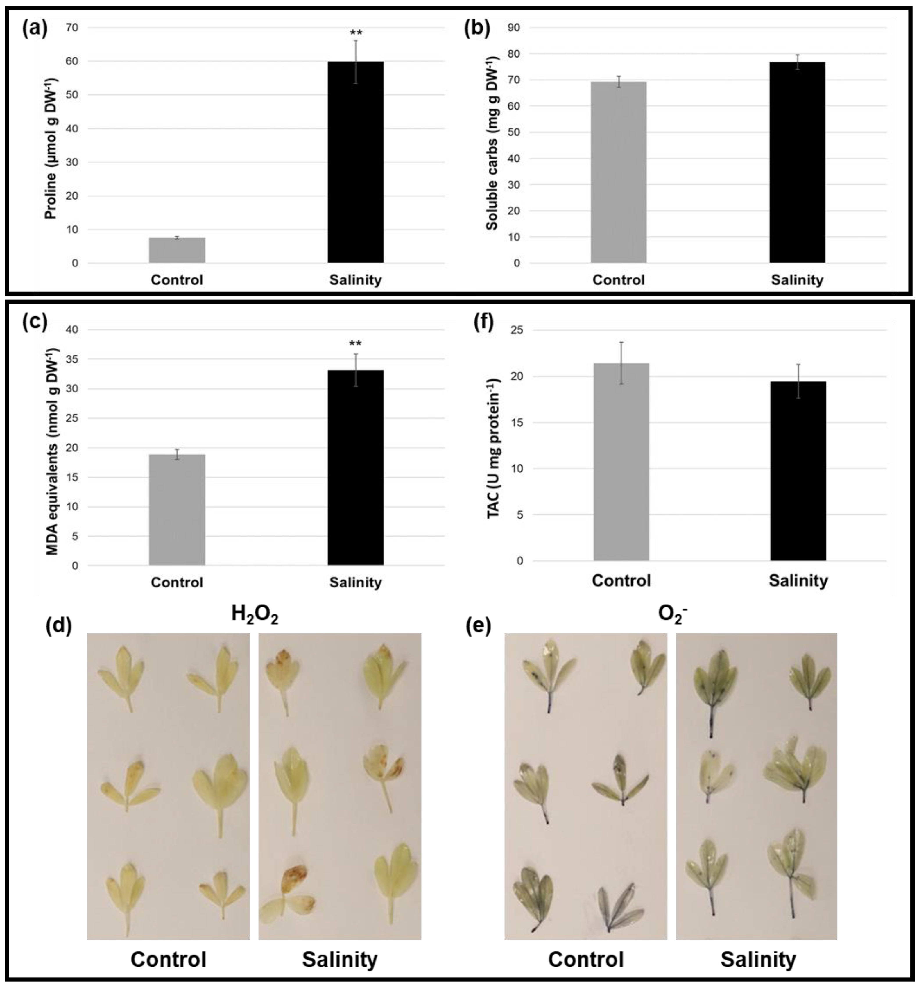 Plants 12 02059 g003